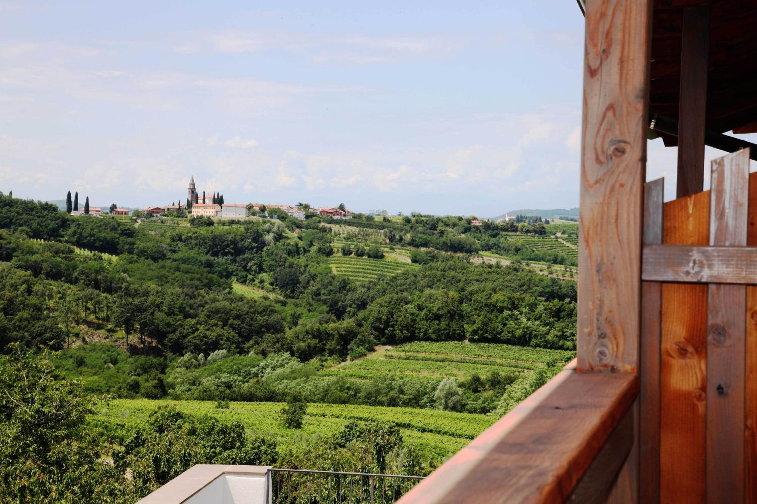 Boutique Hotel Dvor
