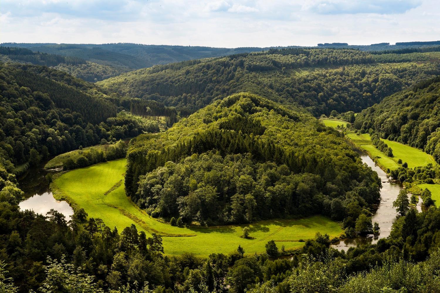 La Tanière des Loups