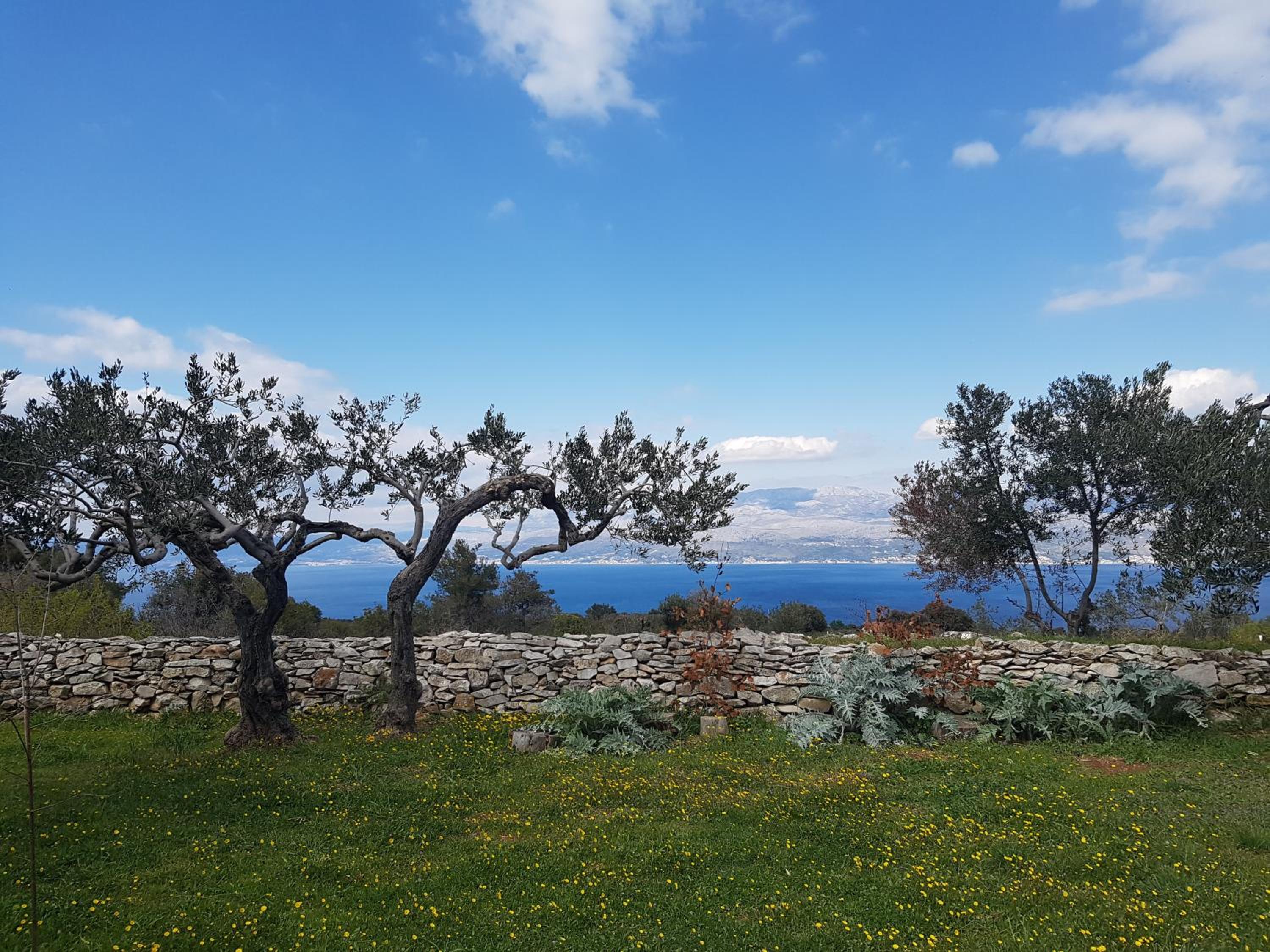 Stone Villa Olea - Holiday house in olive grove view 2