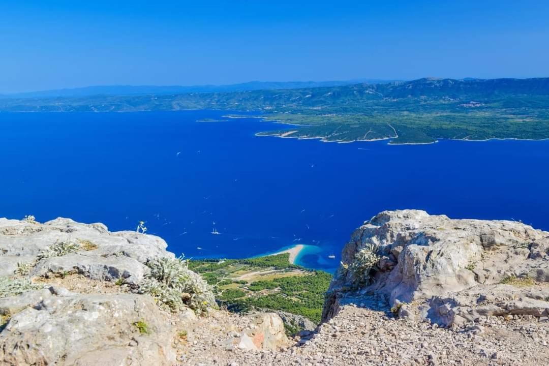 Stone Villa Olea - Holiday house in olive grove view 4