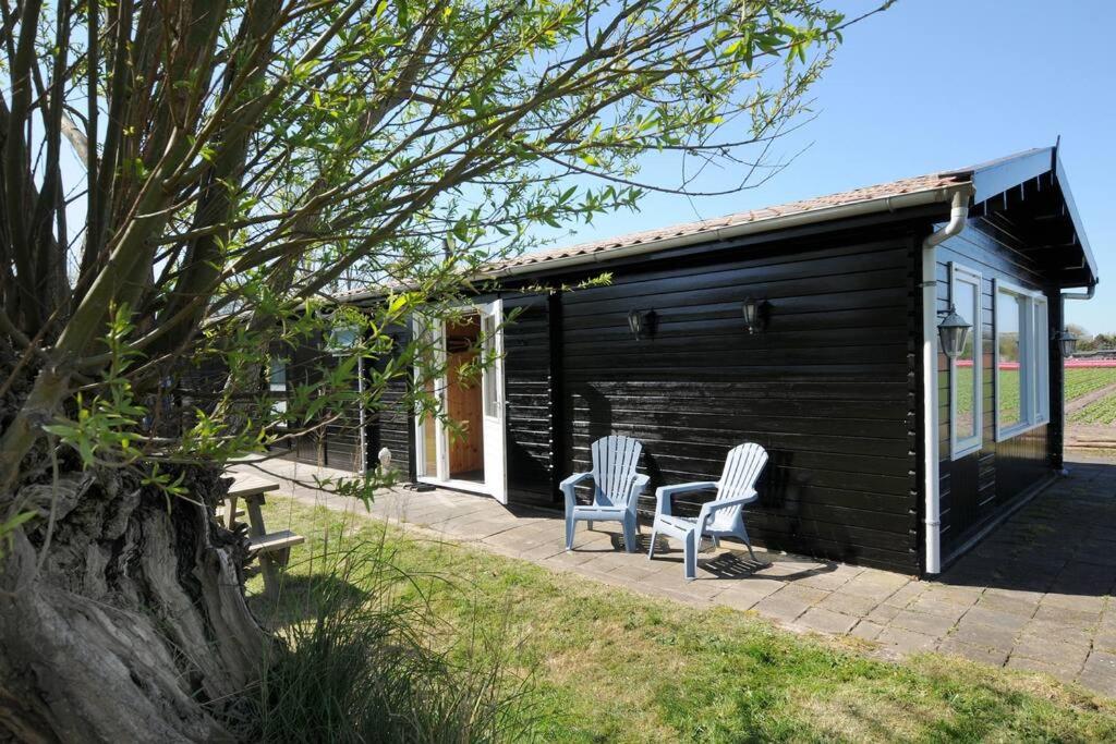 Chalet Egmond view 4