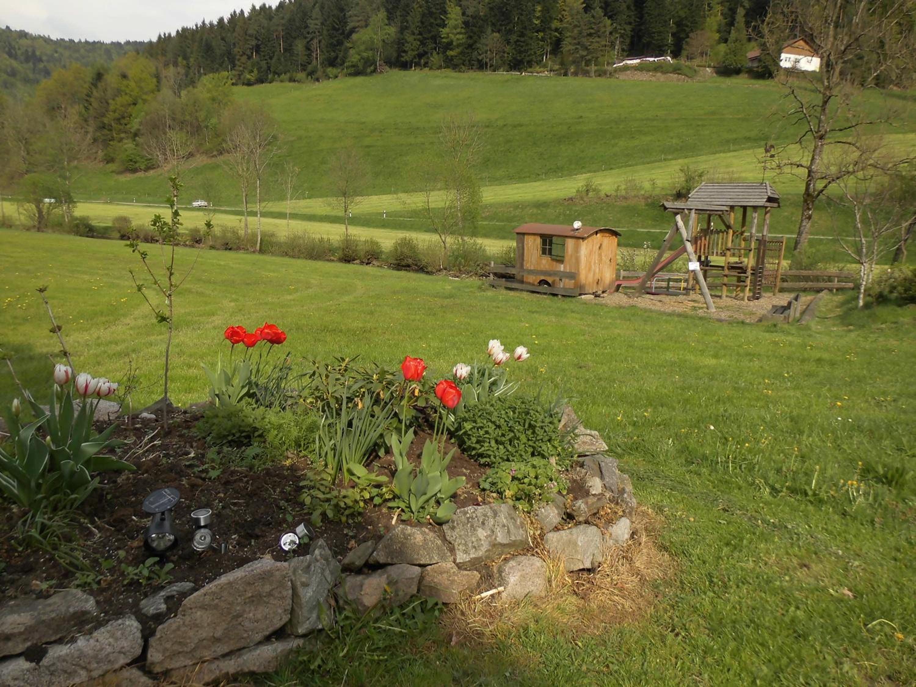 Photo 20