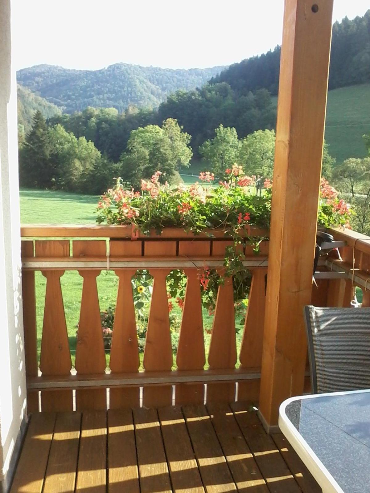 Photo 42