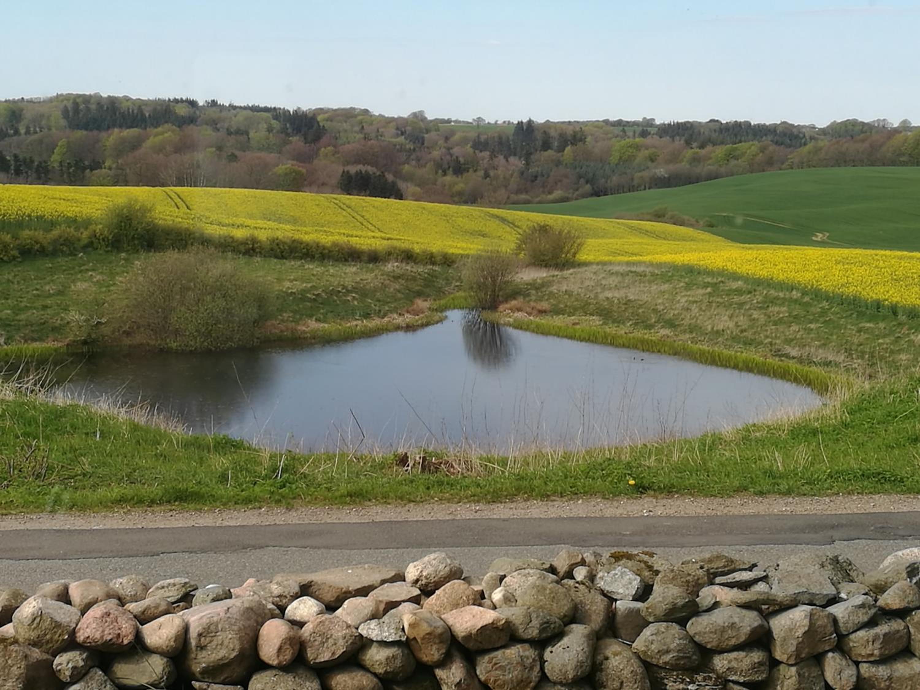 Bøgehus