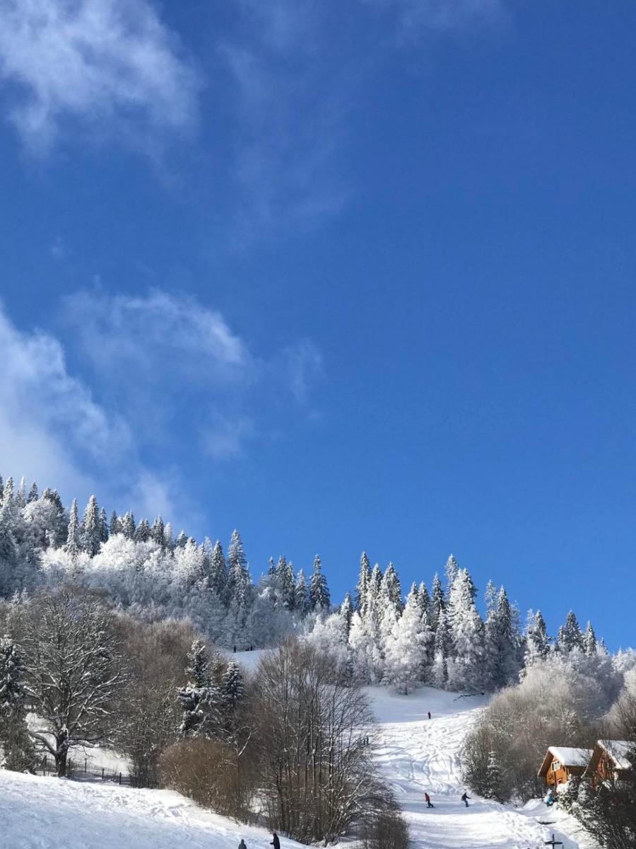 Chalet Carpathian Fairy Tale view 3