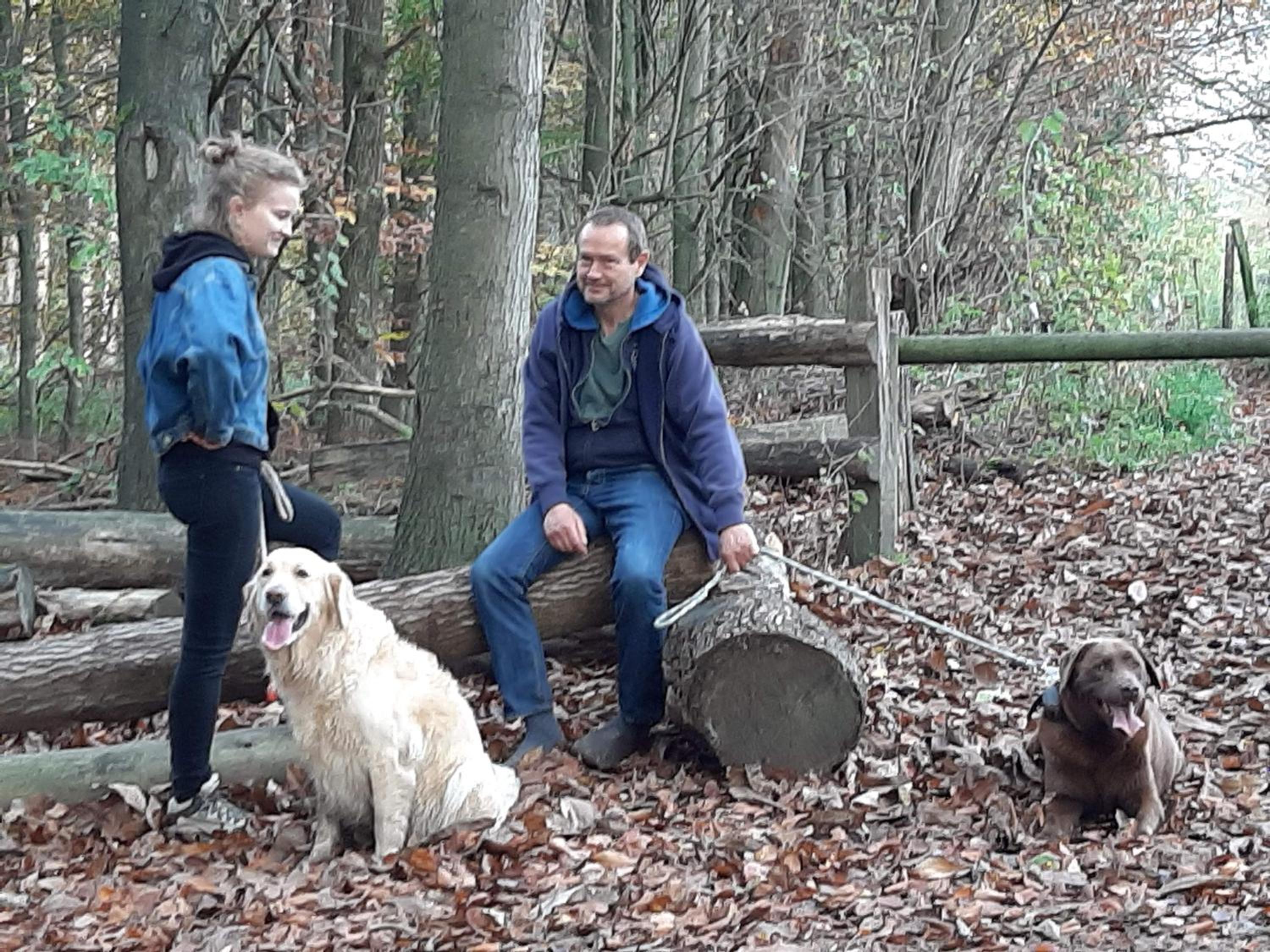 Hallerbos B&B in Bluebell Forest