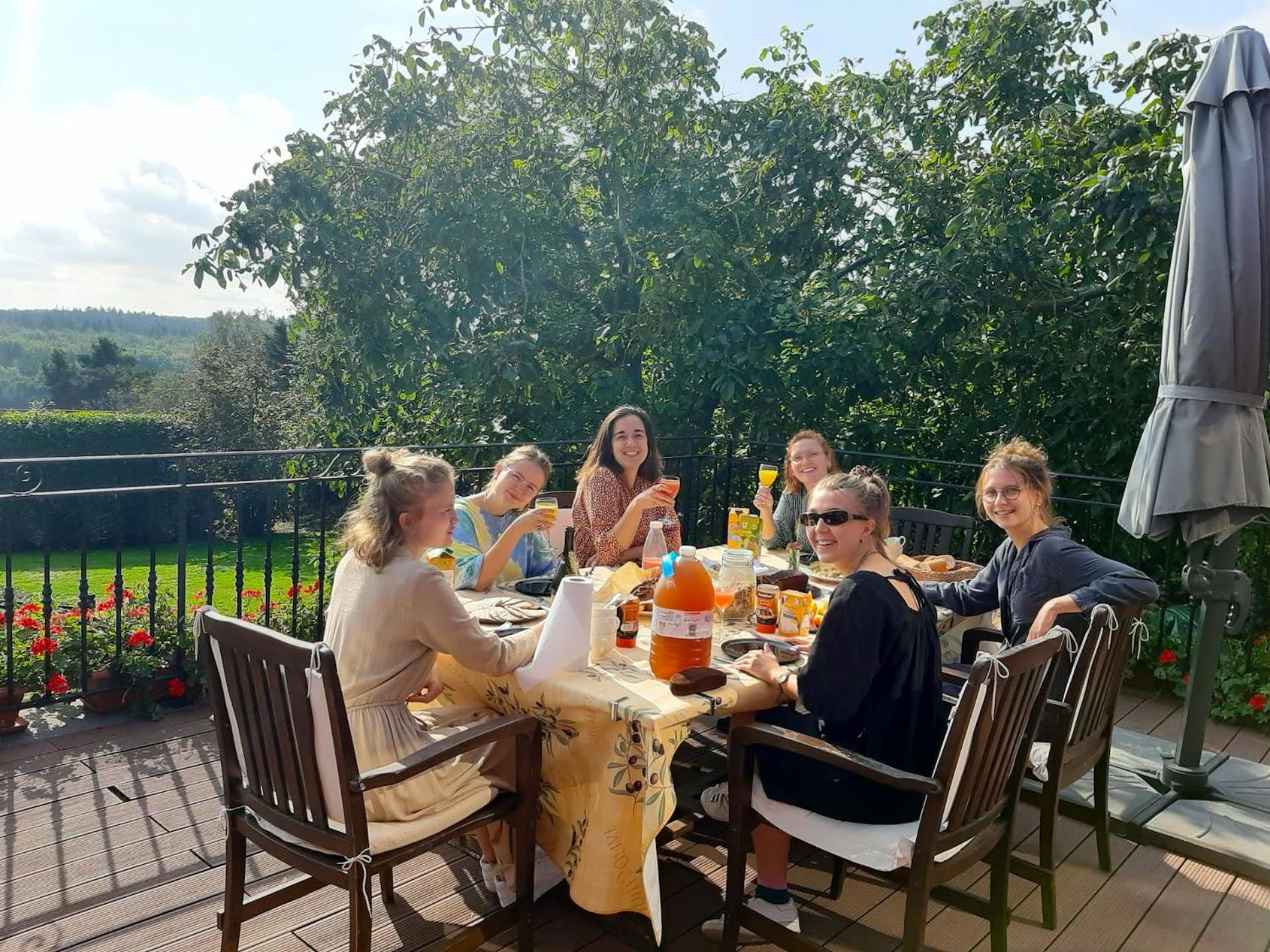 Hallerbos B&B in Bluebell Forest