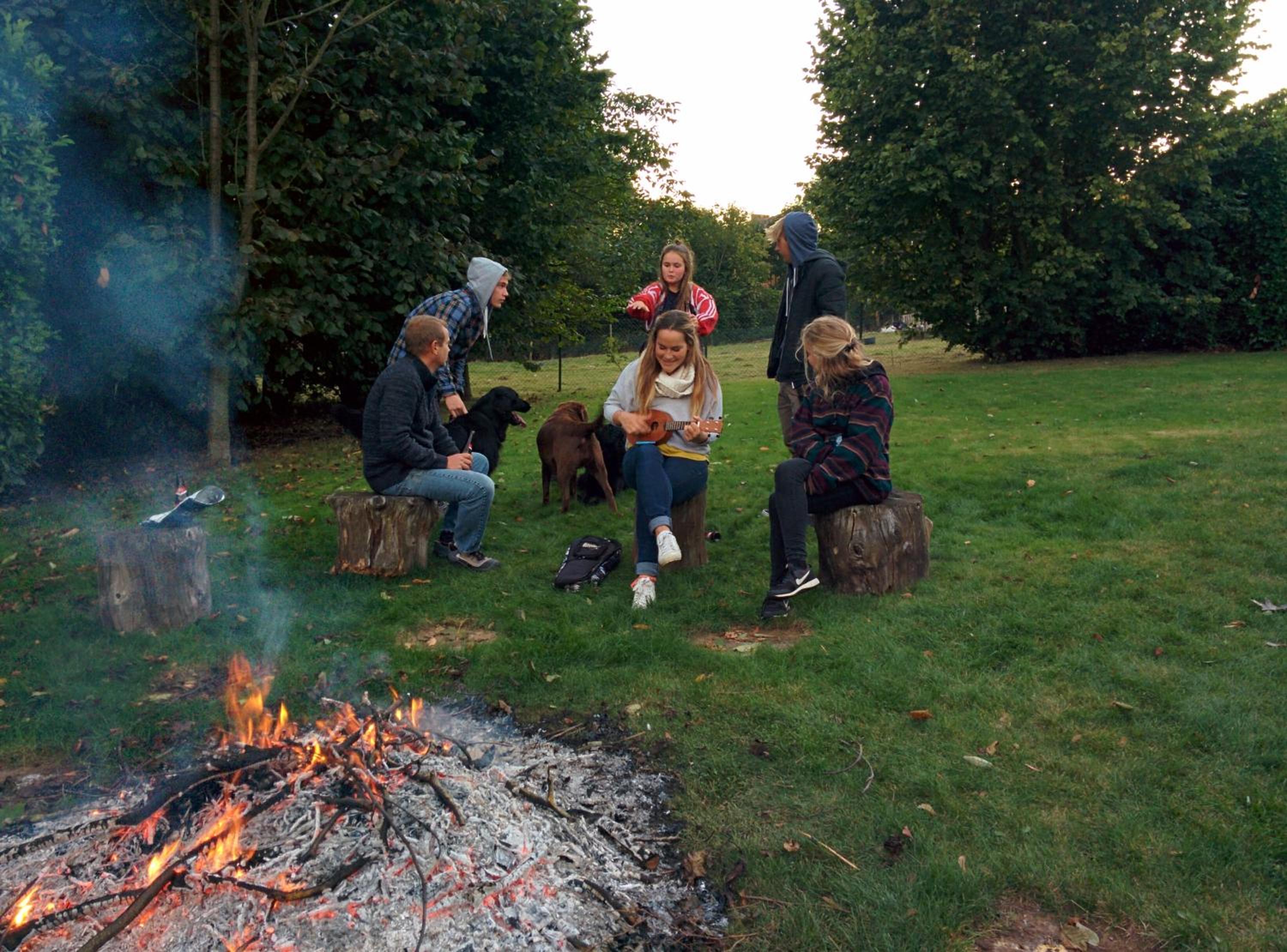 Hallerbos B&B in Bluebell Forest