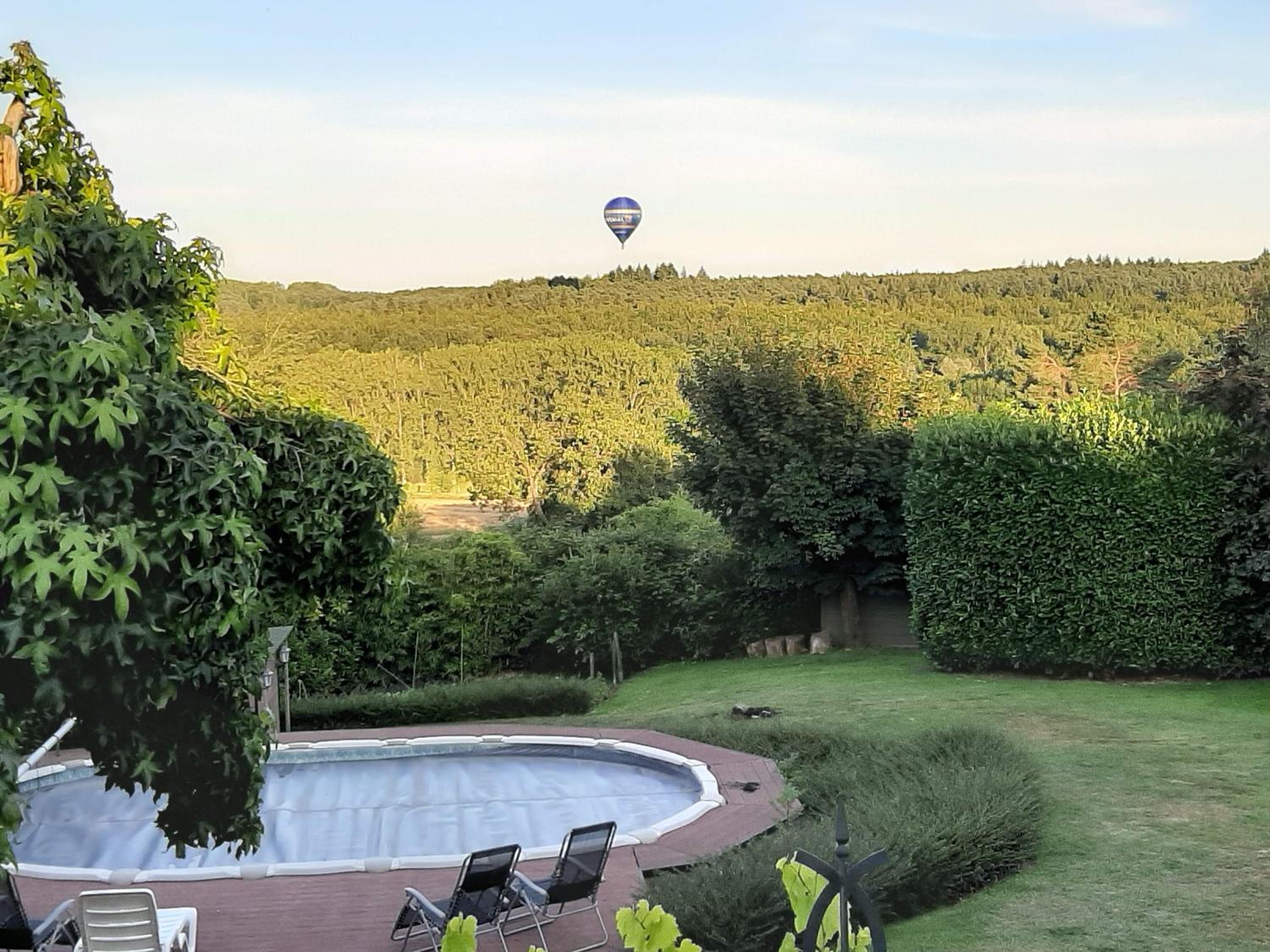 Hallerbos B&B in Bluebell Forest