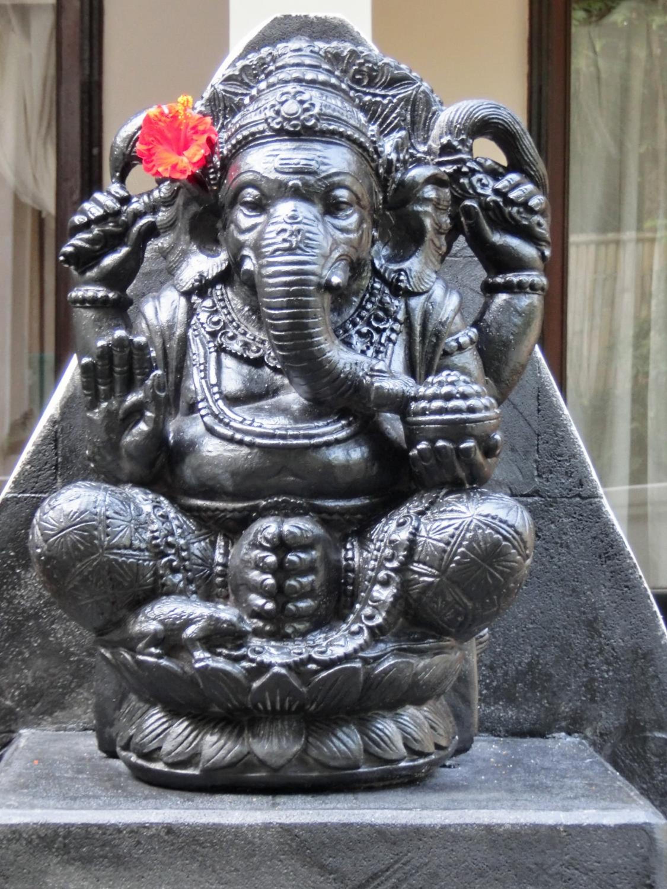 Latugu Homestay Ubud view 4