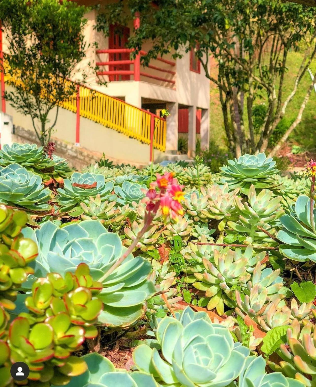 Sitio dos Palmitos - Casa Pupunha