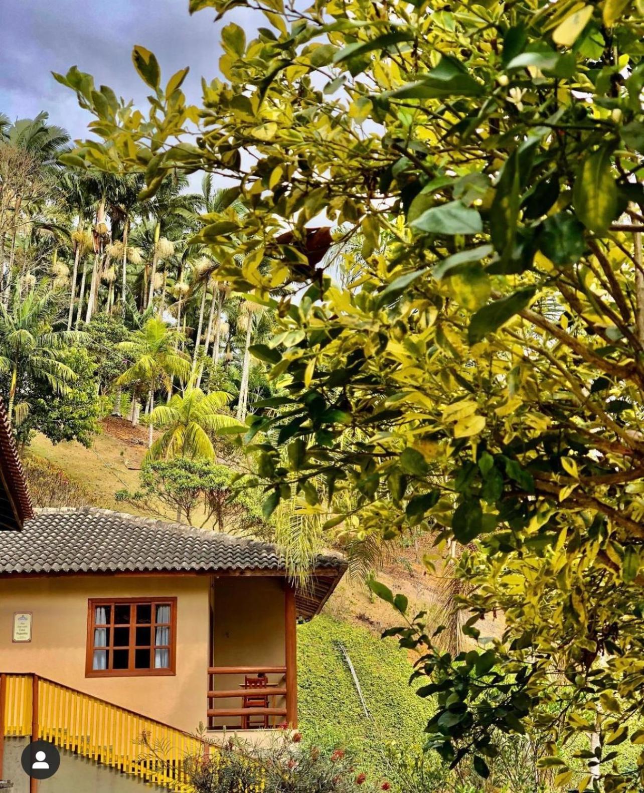 Sitio dos Palmitos - Casa Pupunha