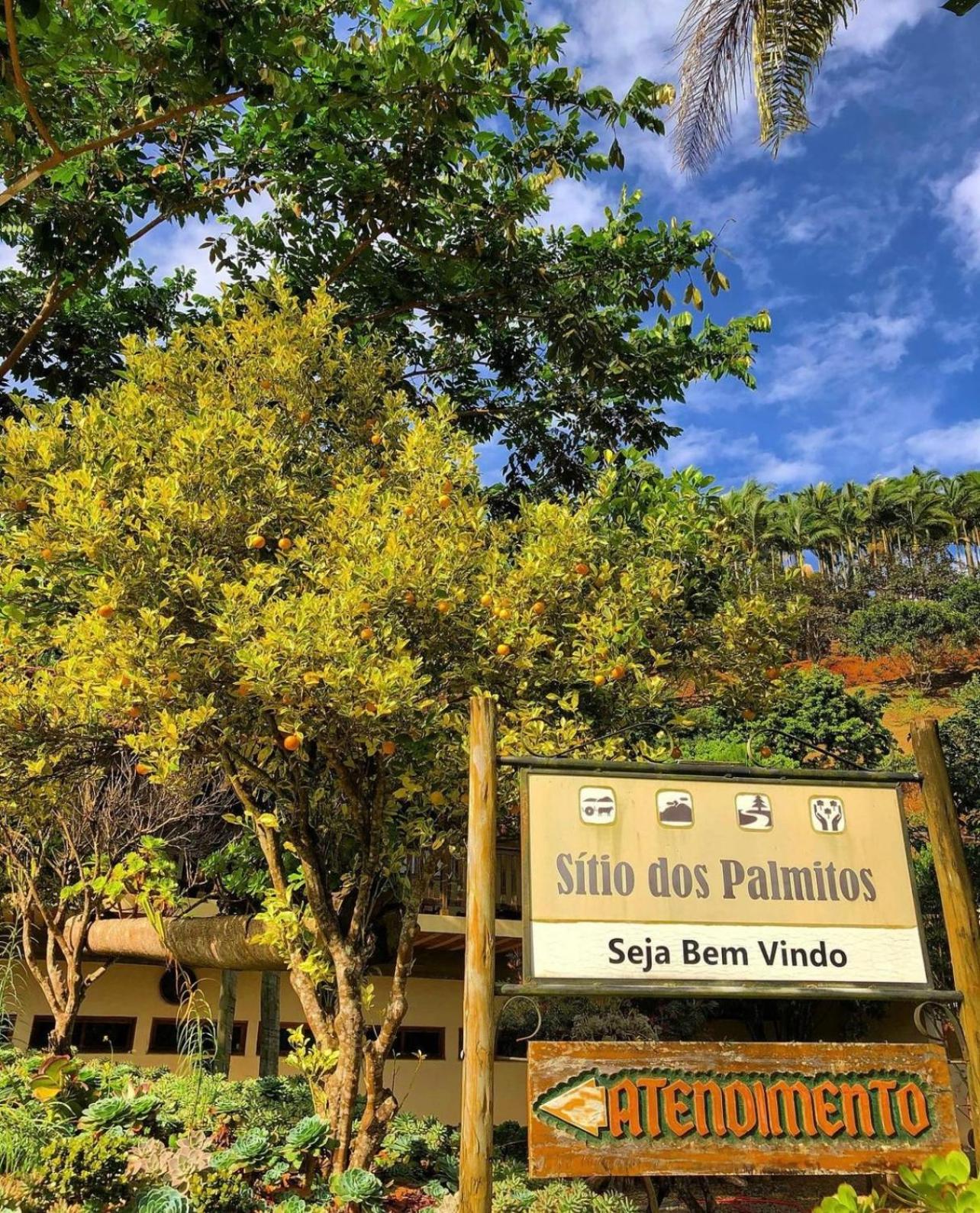 Sitio dos Palmitos - Casa Pupunha