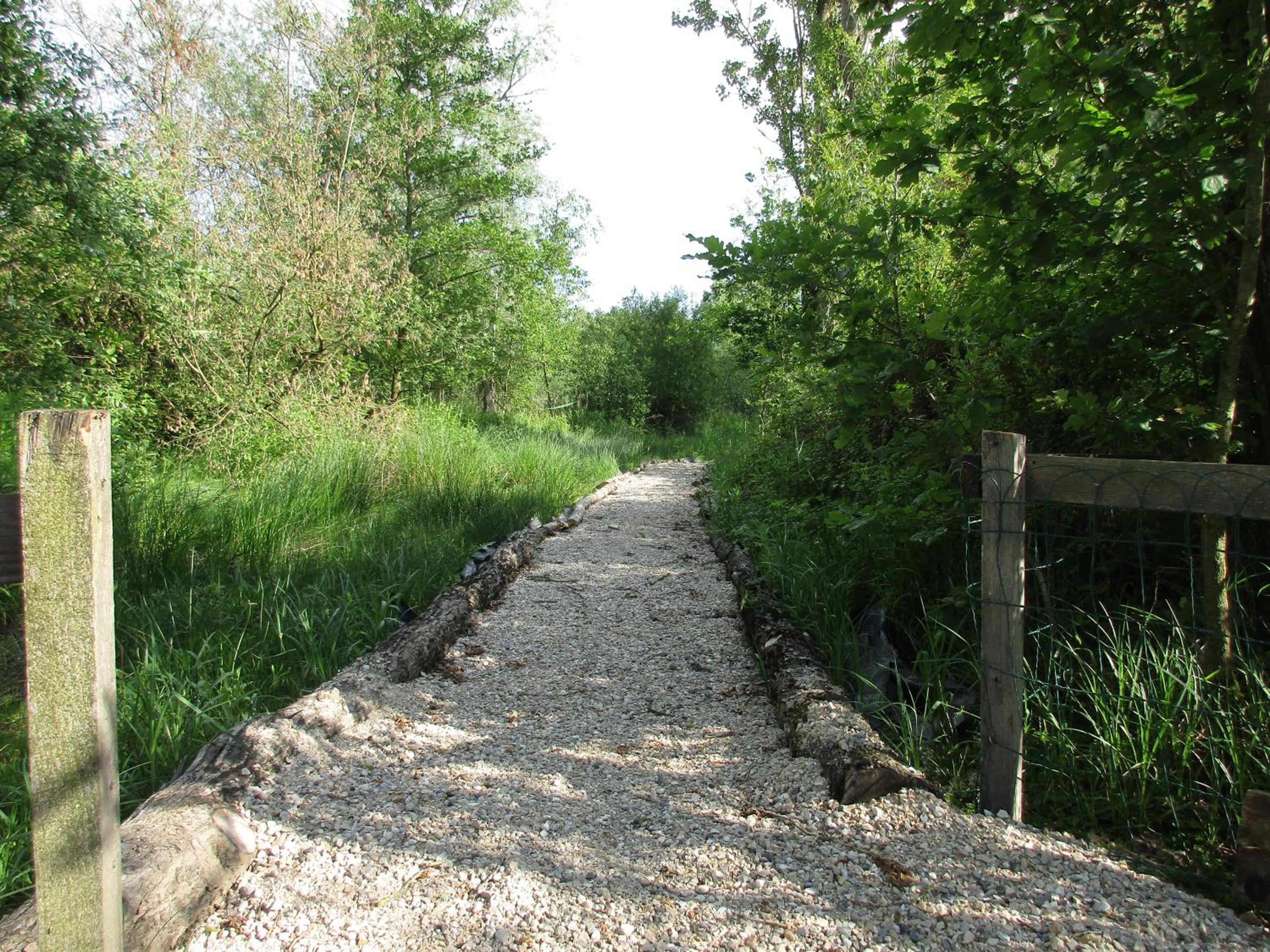 Photo 27