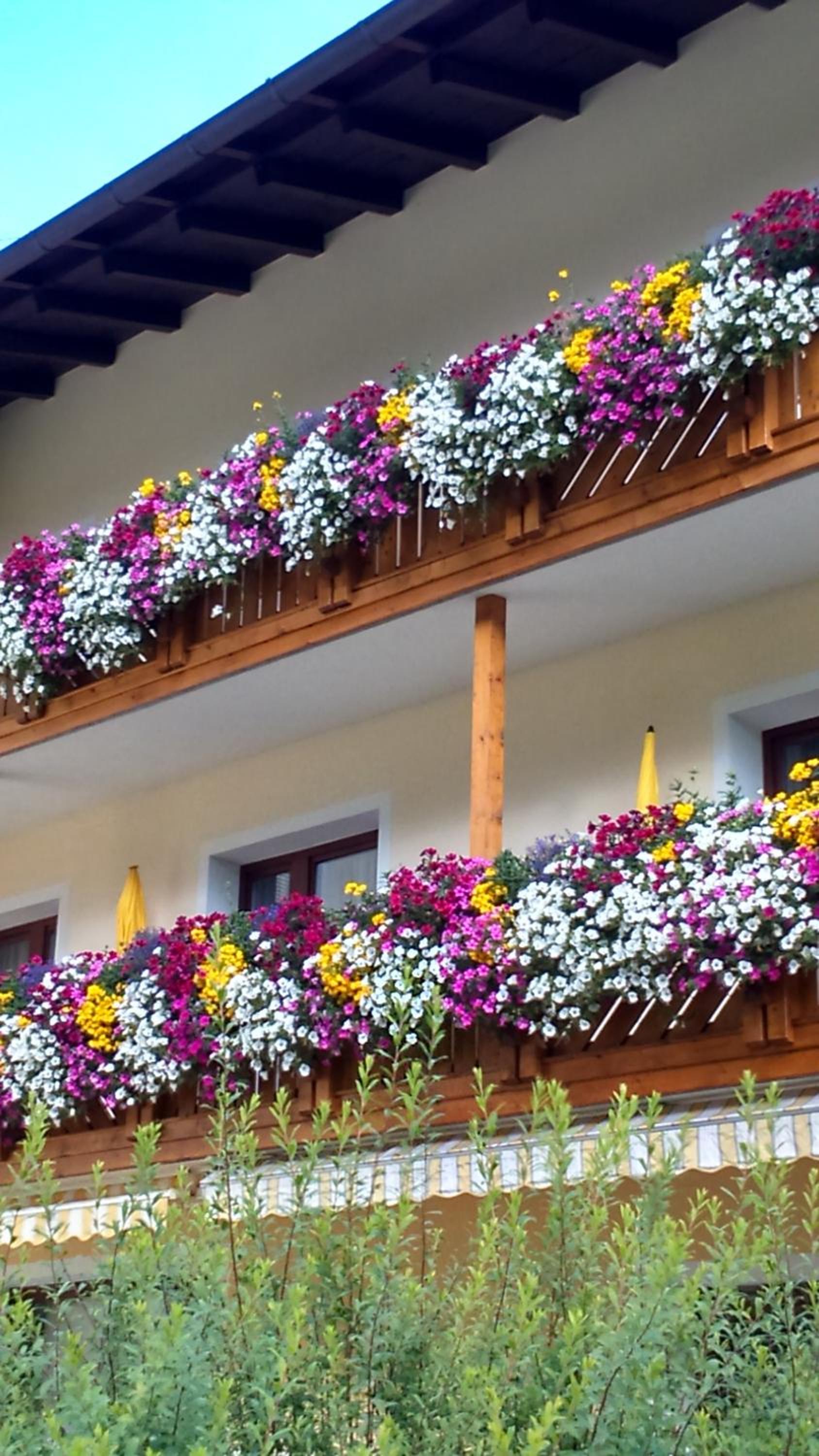 Fremdenpension Alpenruhe