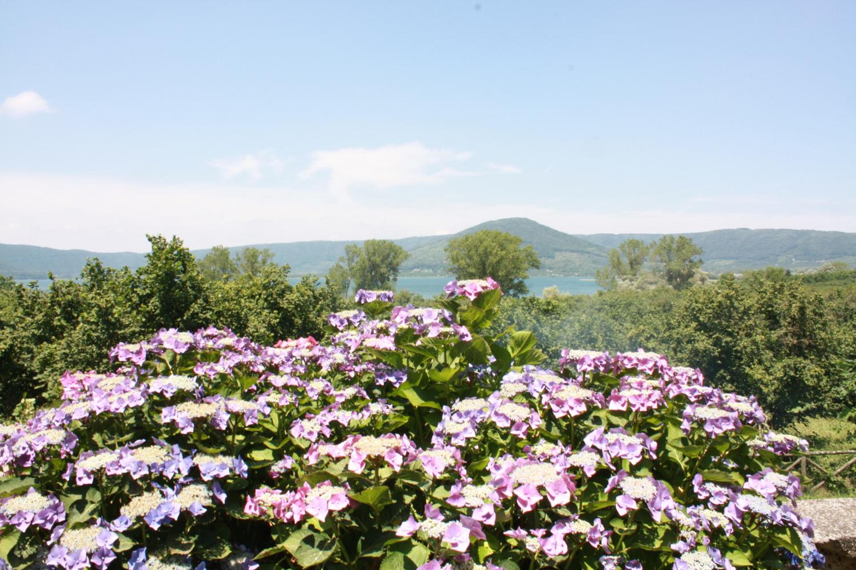 La Finestra sul Lago