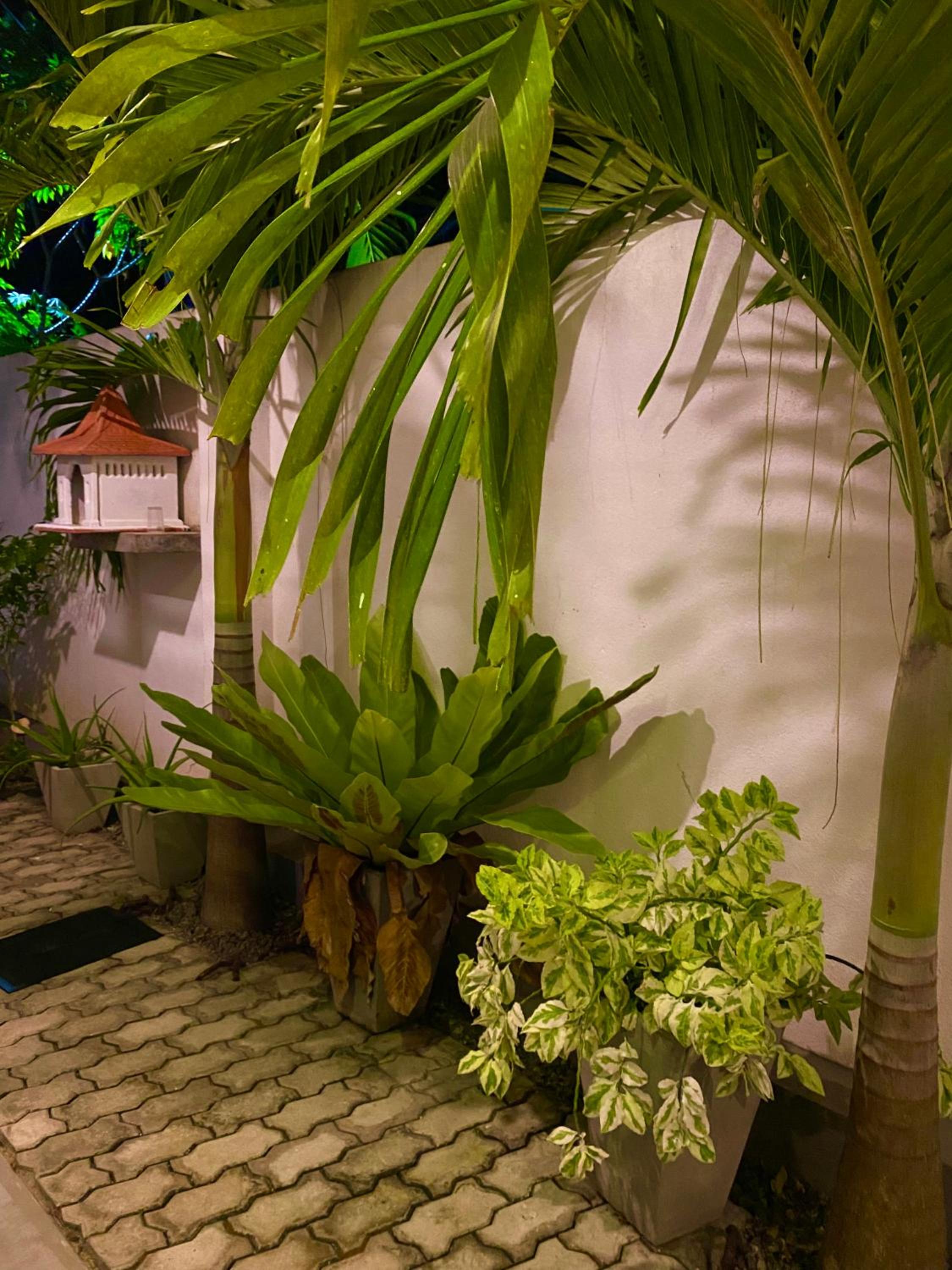Guest House Bodensee view 4