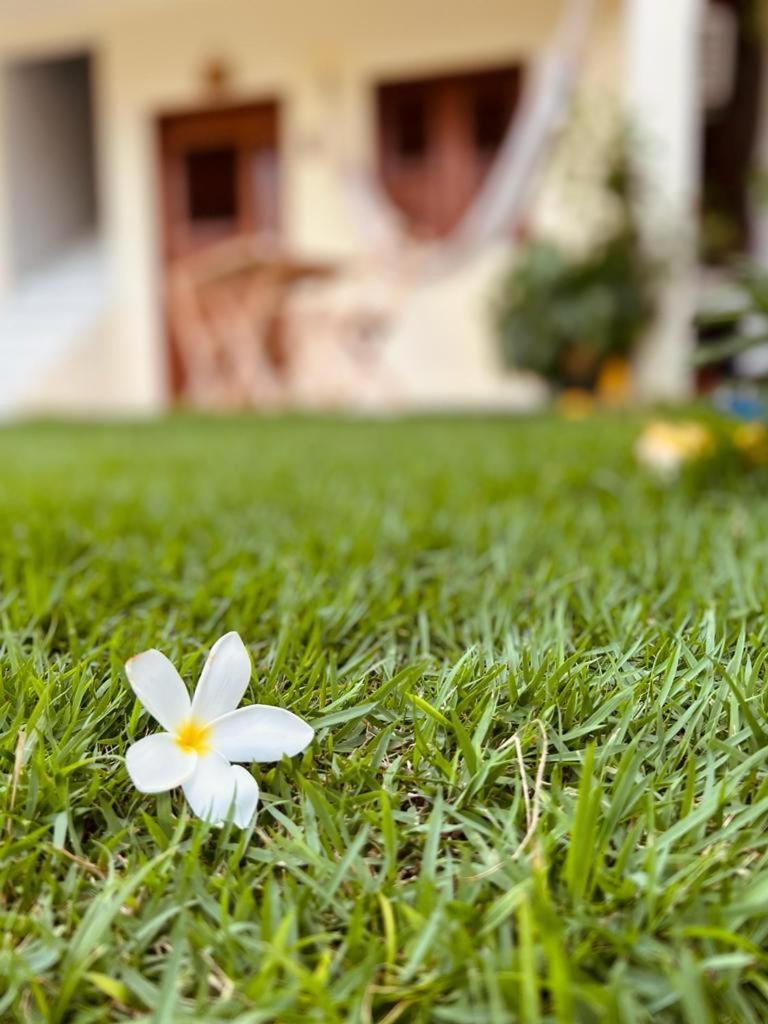 Suíte das flores em Guajiru