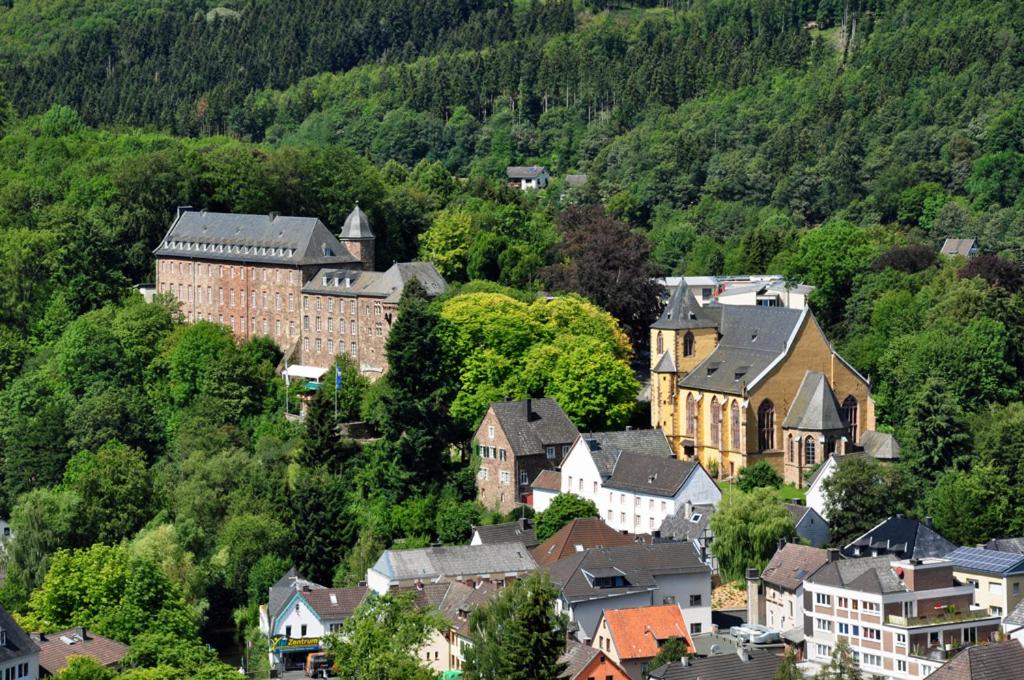 Villa Holgenbach - Penthouse und Ferienwohnung im Nationalpark Eifel, photo 10