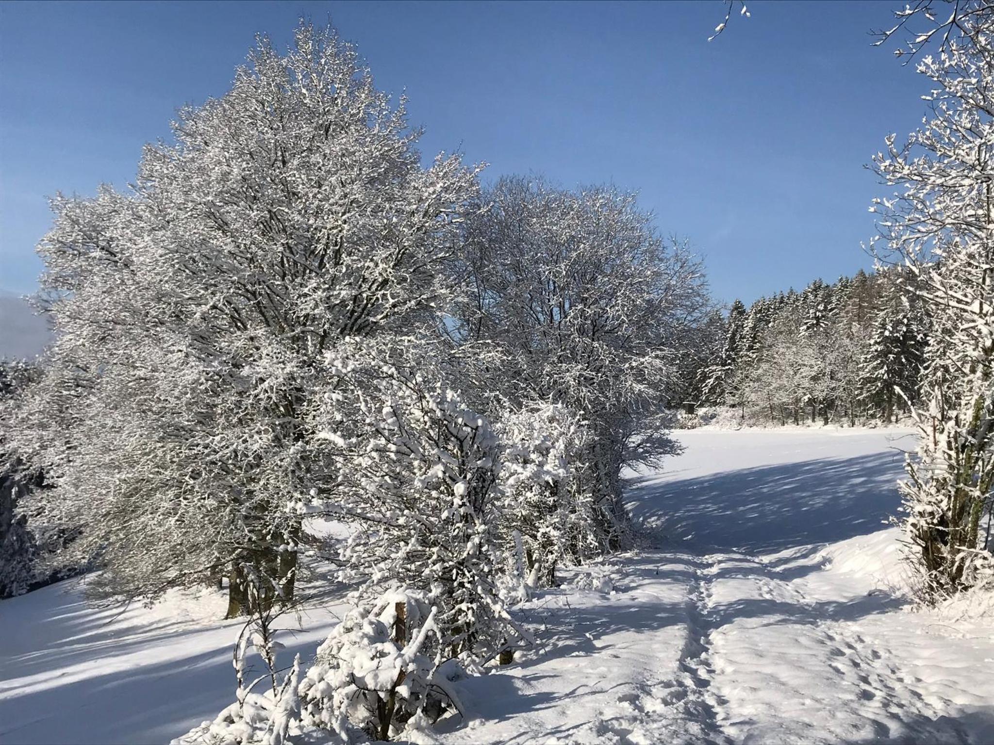 Villa Holgenbach - Penthouse und Ferienwohnung im Nationalpark Eifel, photo 38