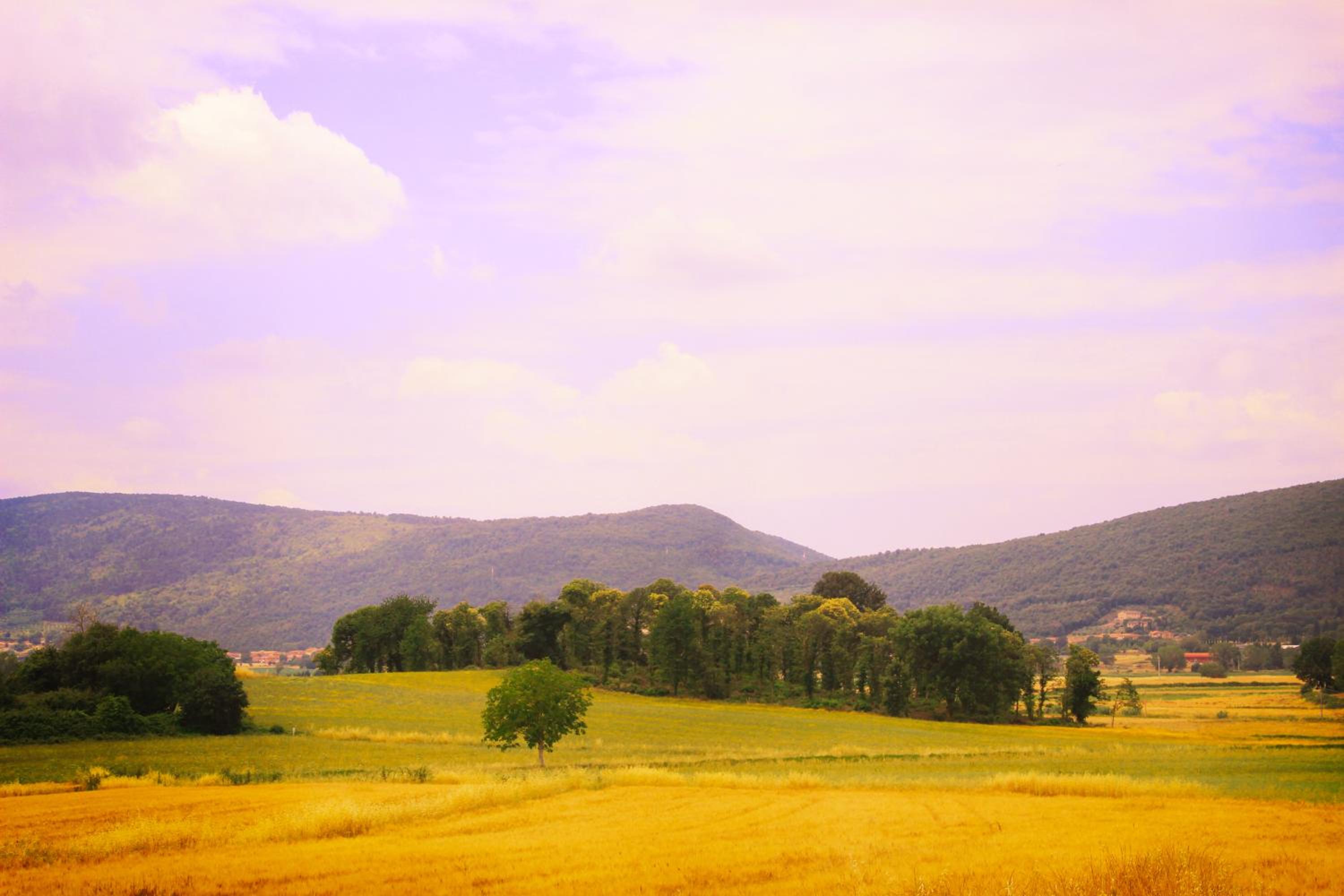 Casa Di Campagna In Toscana