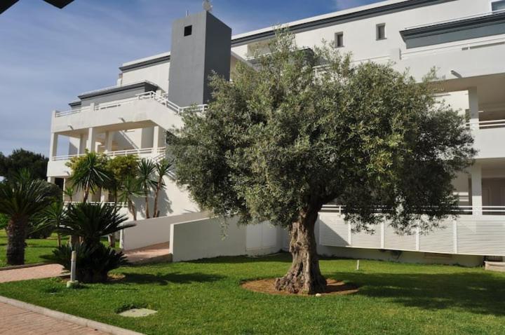 MET&GOLF OLIVA NOVA BEACH JARDIN view 2