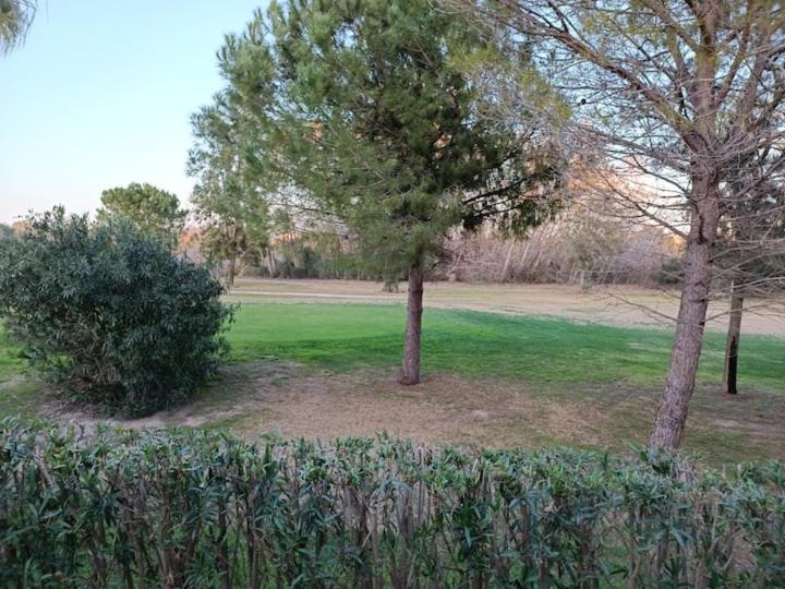 Photo 33