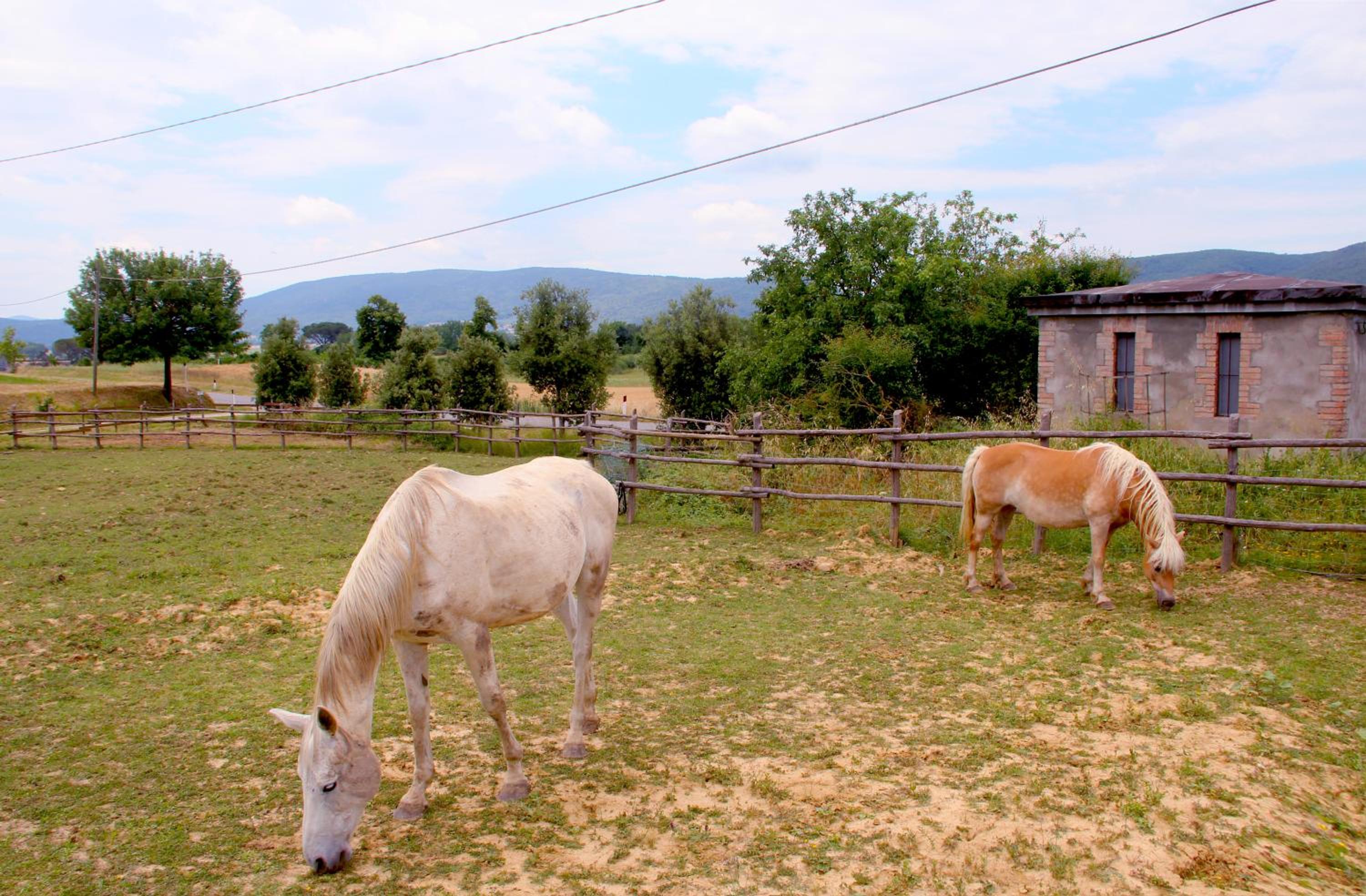 Casa Di Campagna In Toscana