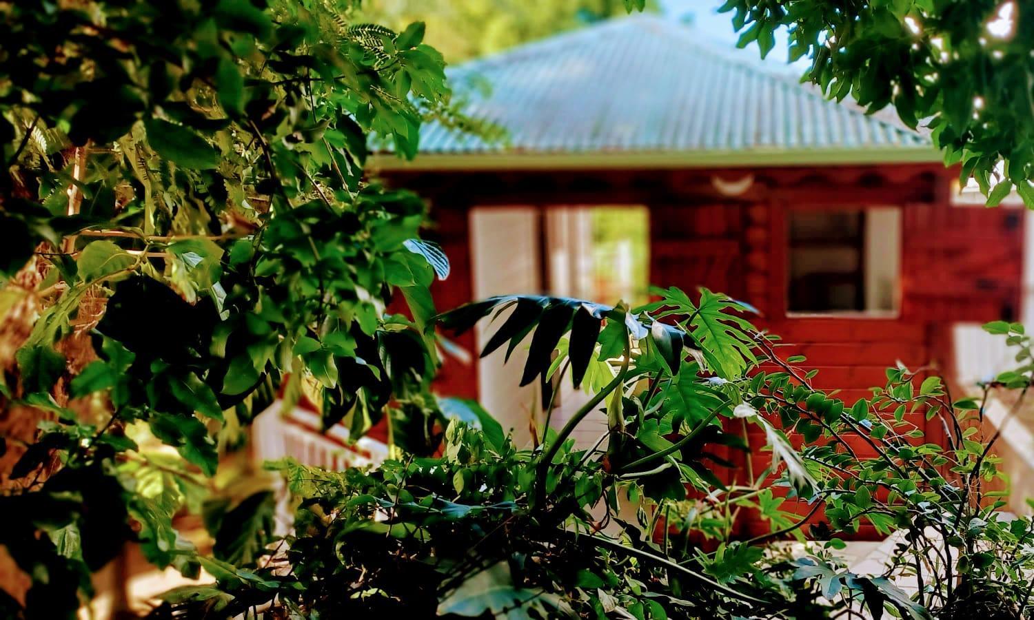 Gite Mamour - Charmant petit bungalow à découvrir