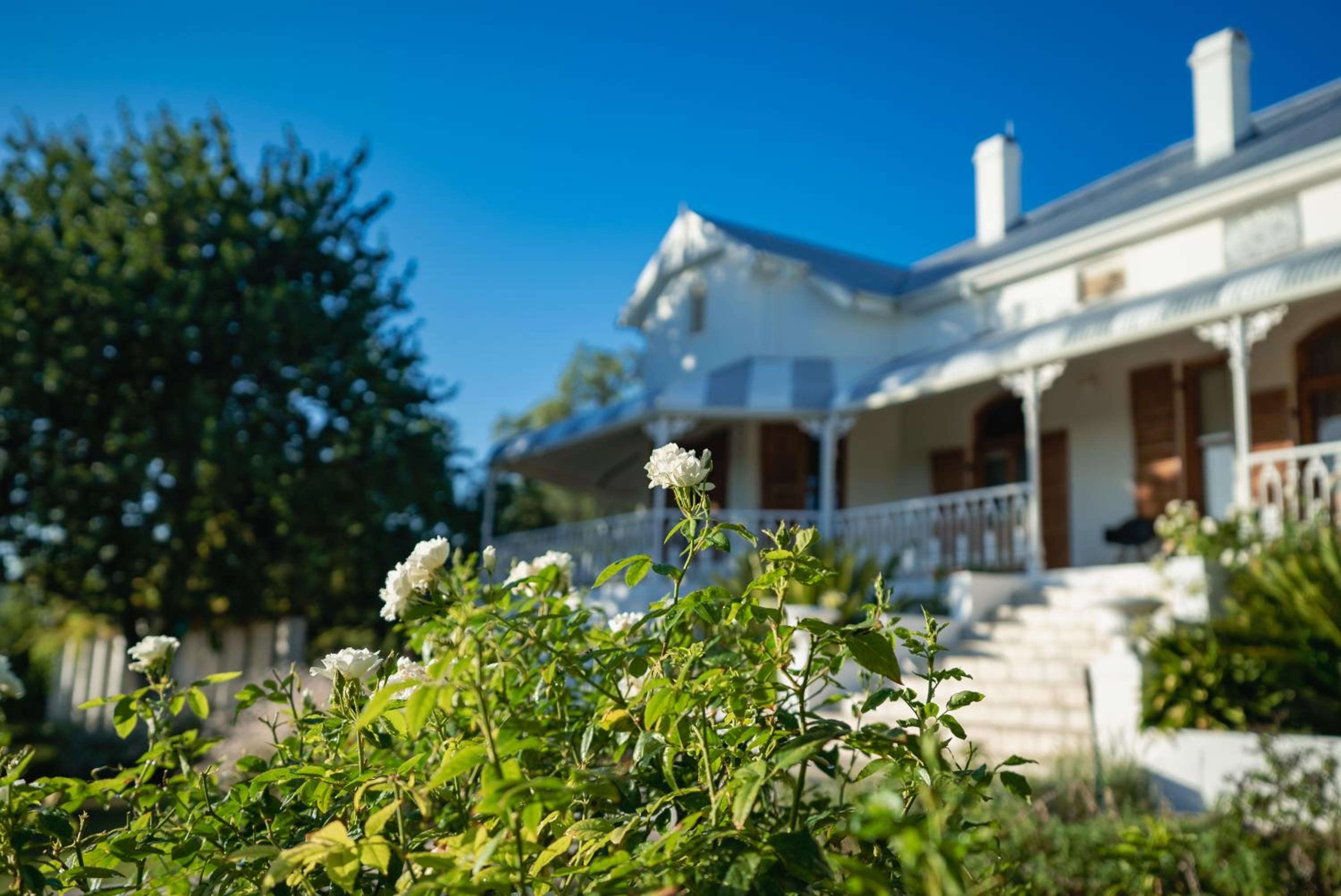 Merindol Manor, photo 14