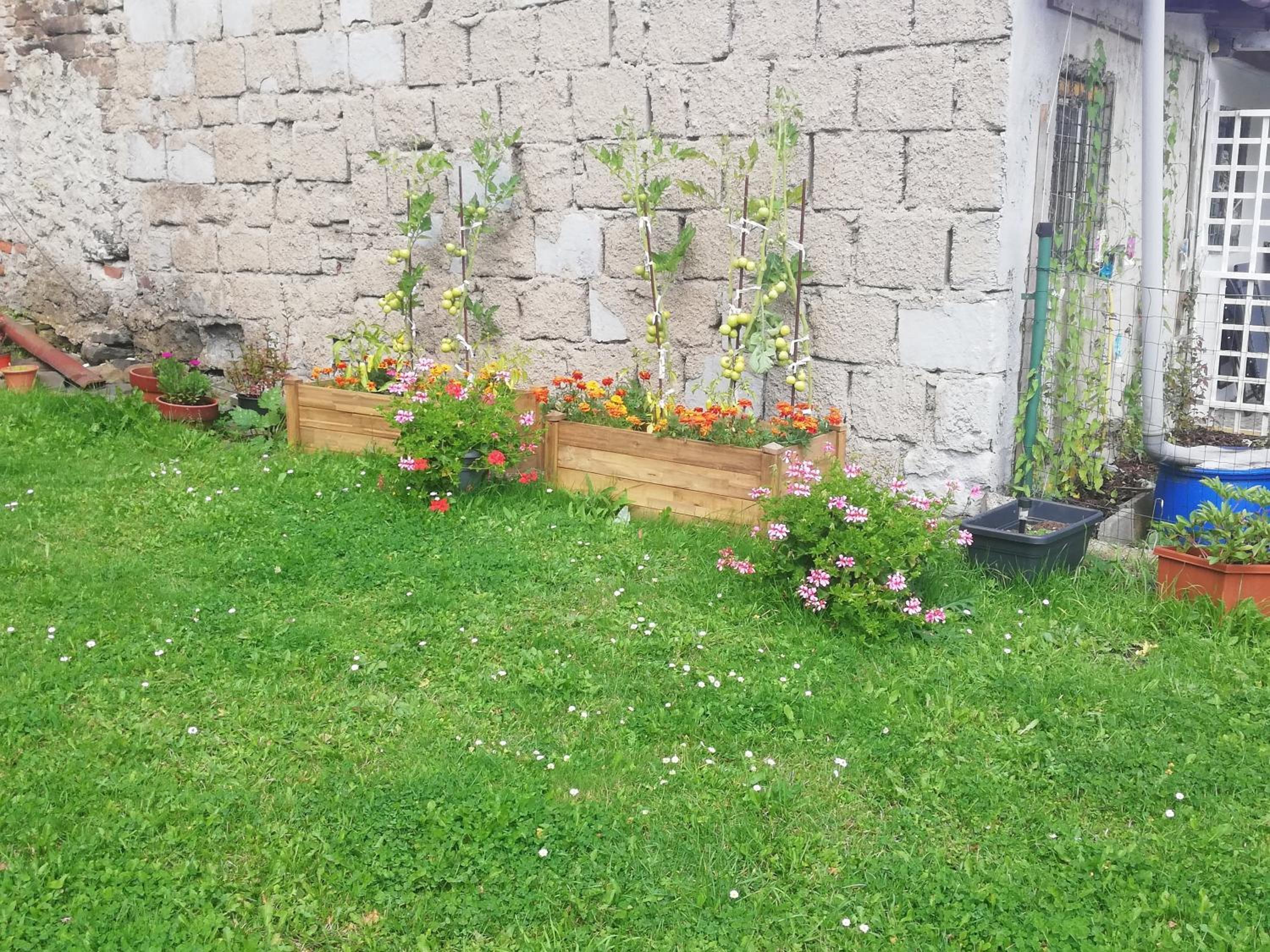 Photo 22