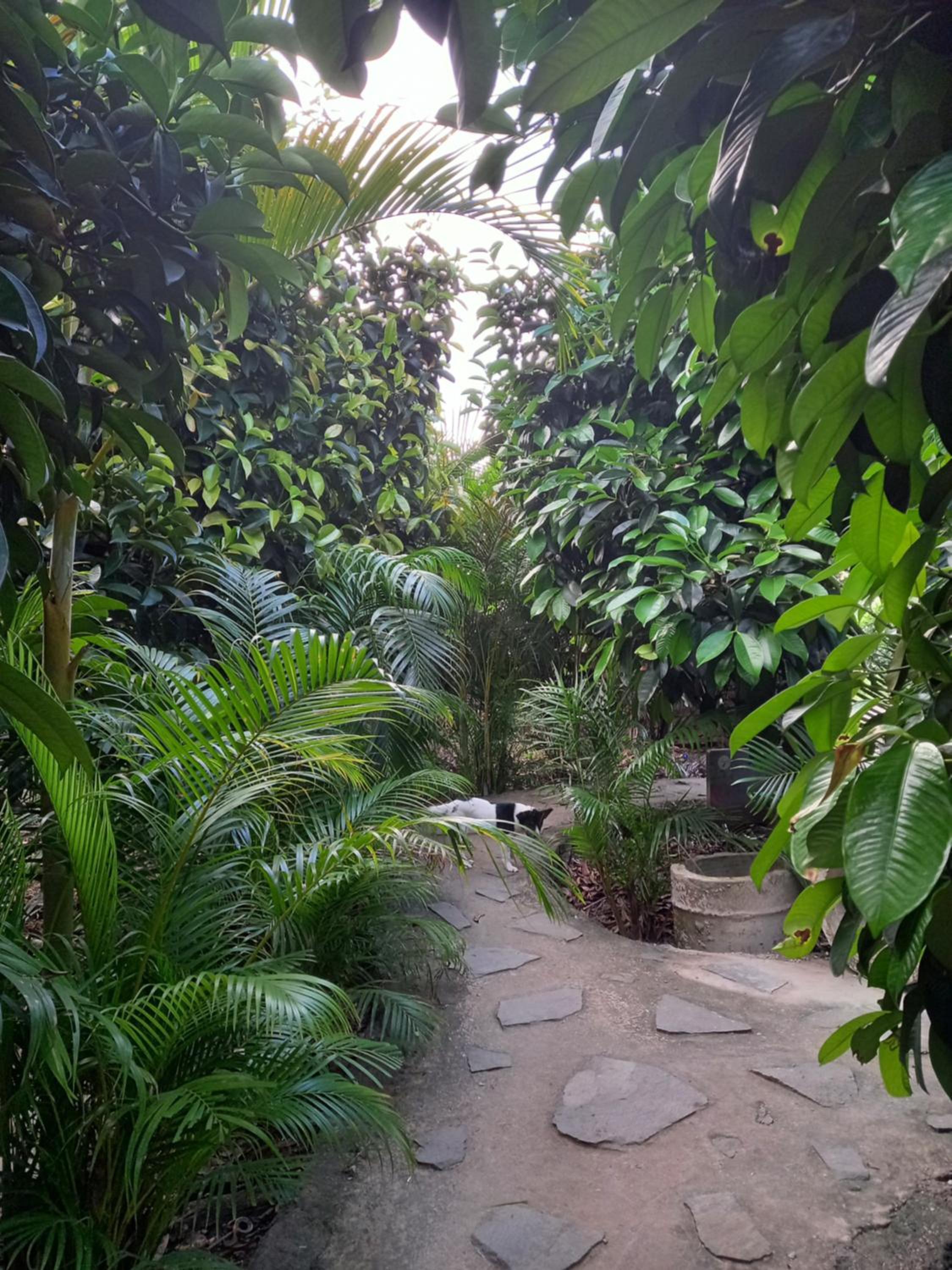 Photo 18