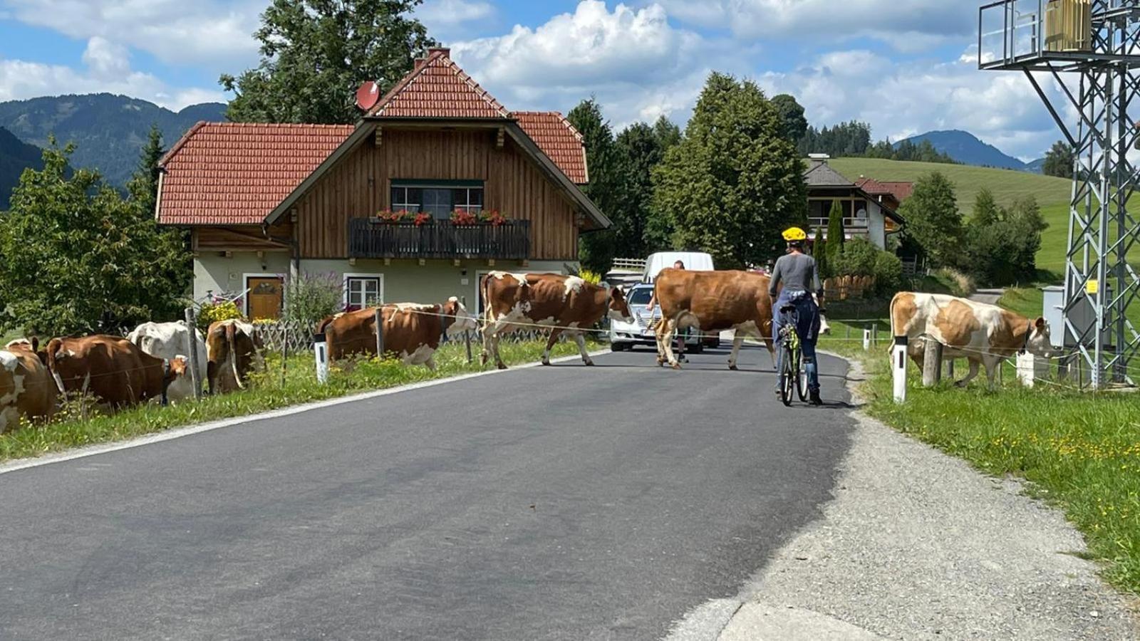 Biohof Köck Tonibauer