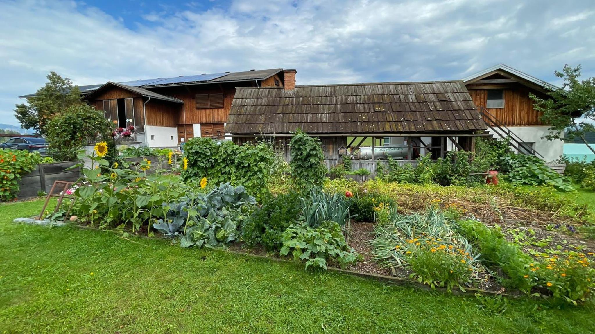 Biohof Köck Tonibauer
