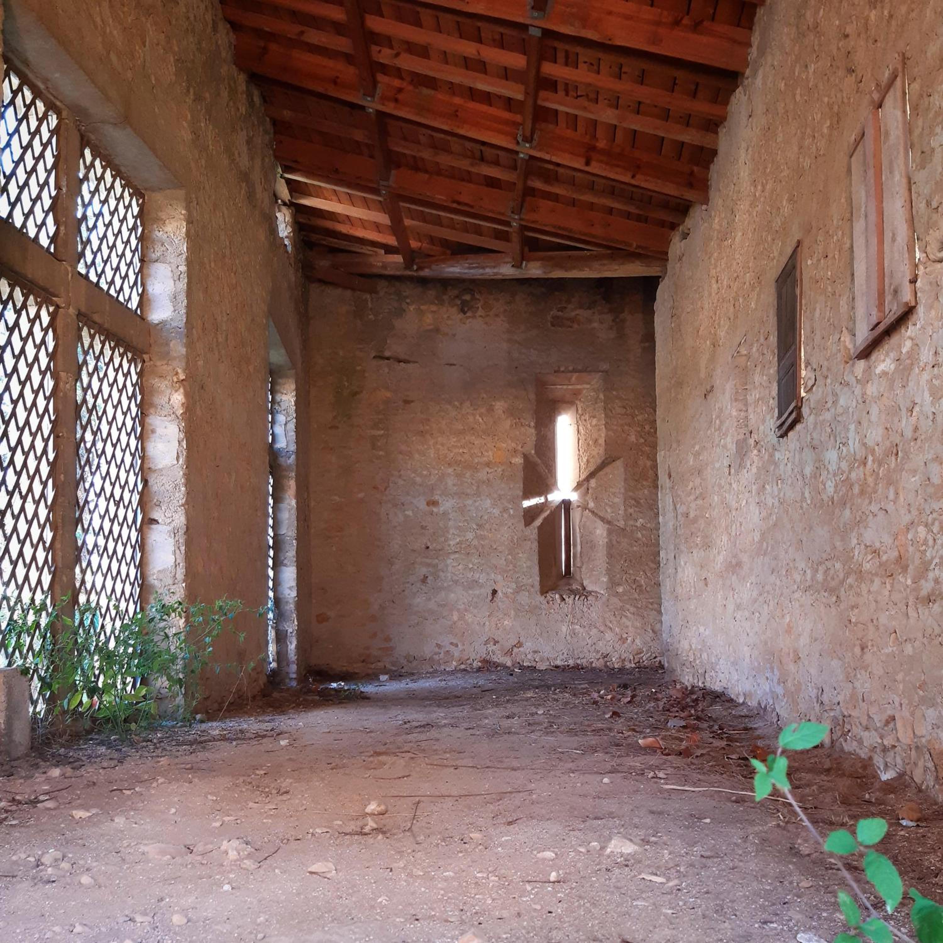 Photo 13