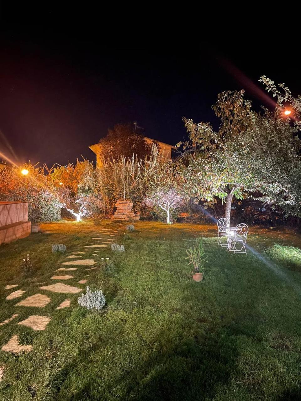 Photo 28