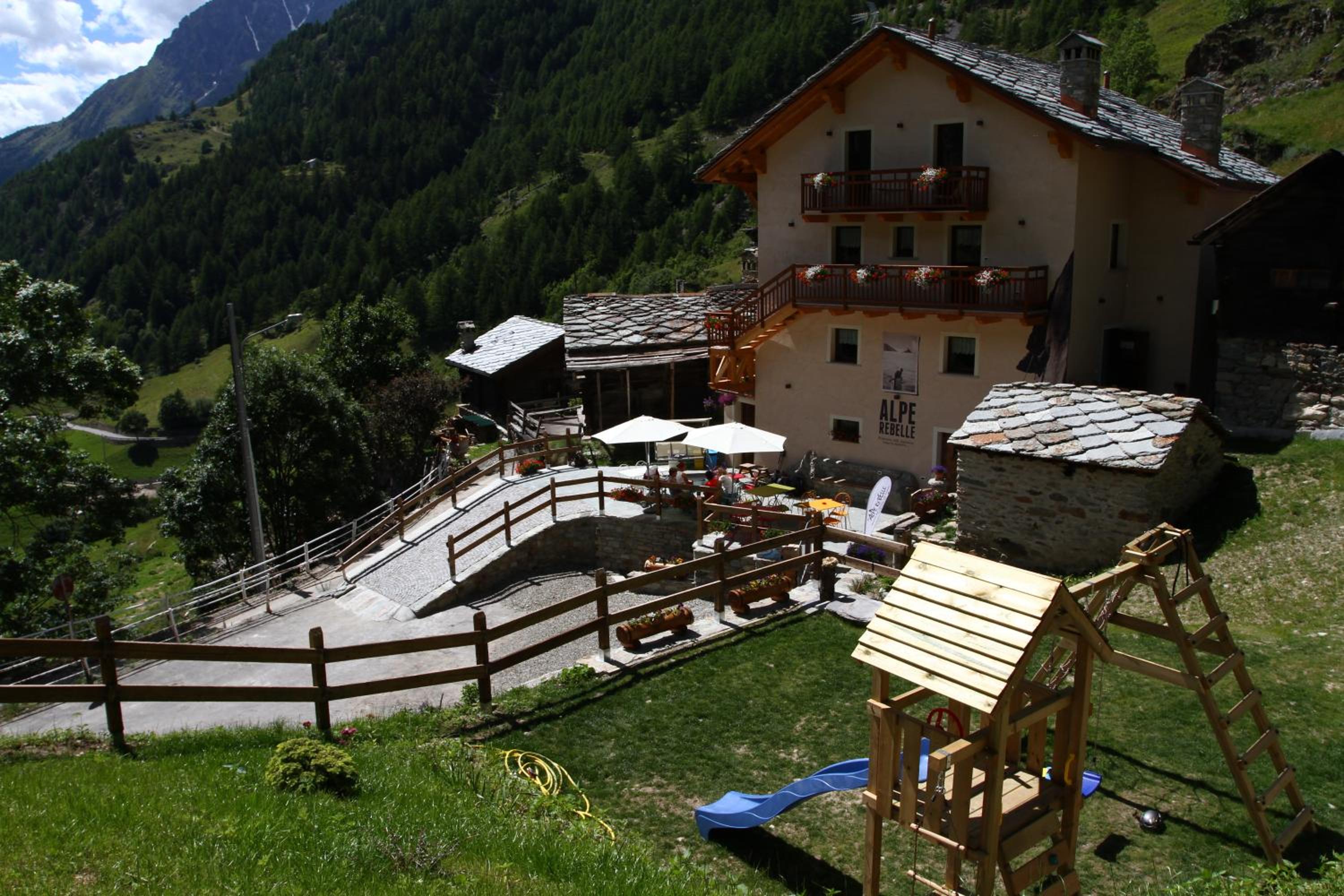 Photo 46