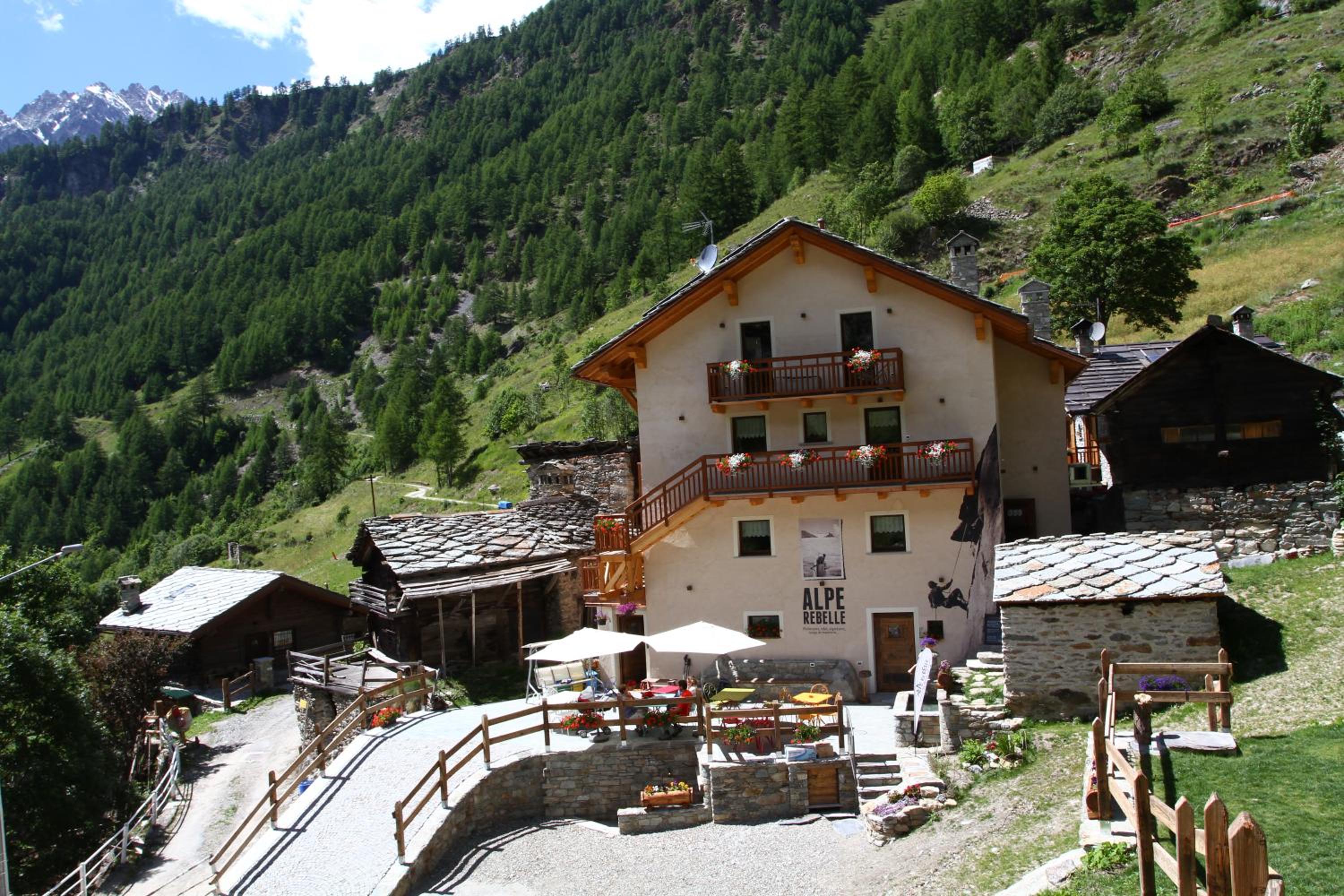 Photo 14