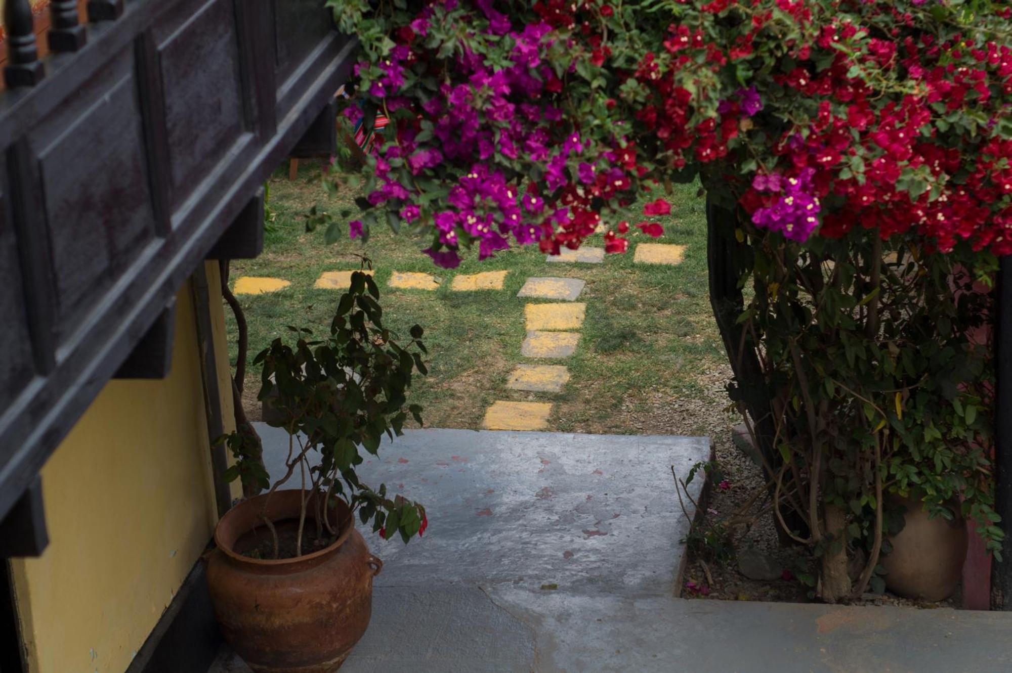 Photo 23