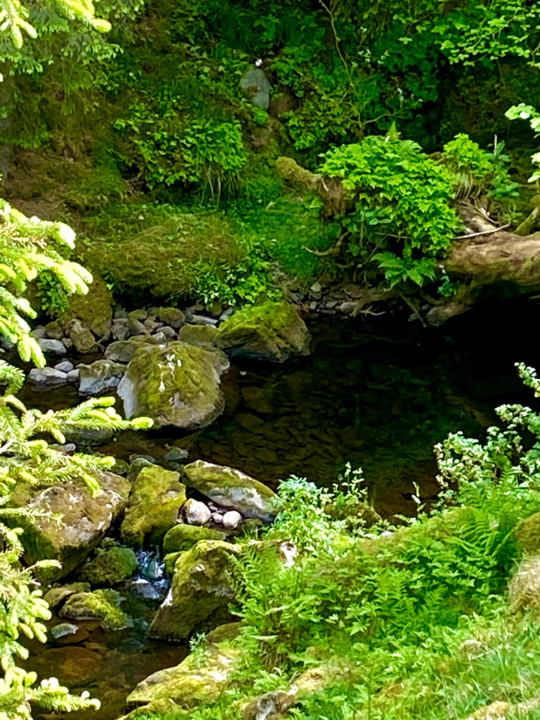 Photo 25