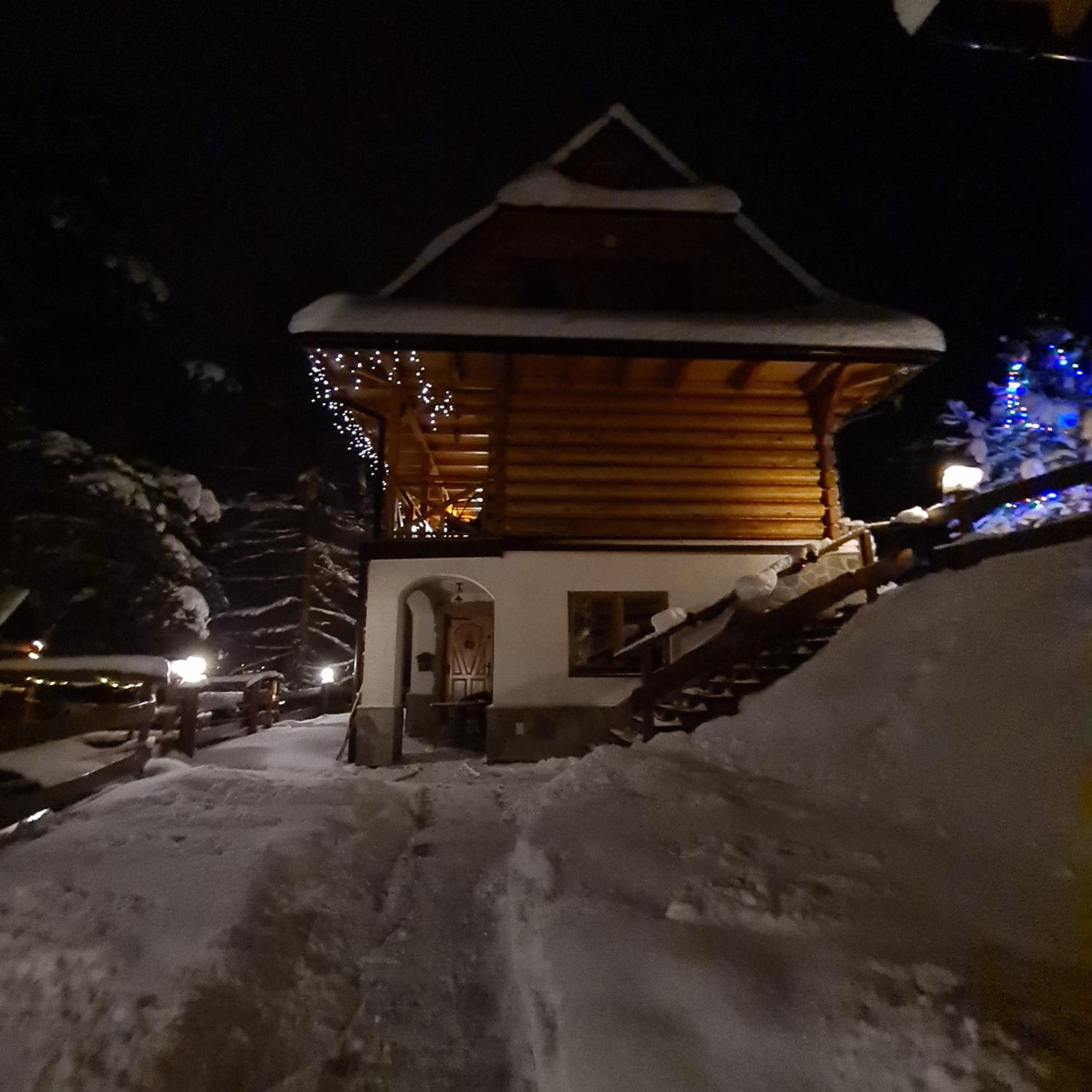 Photo 11