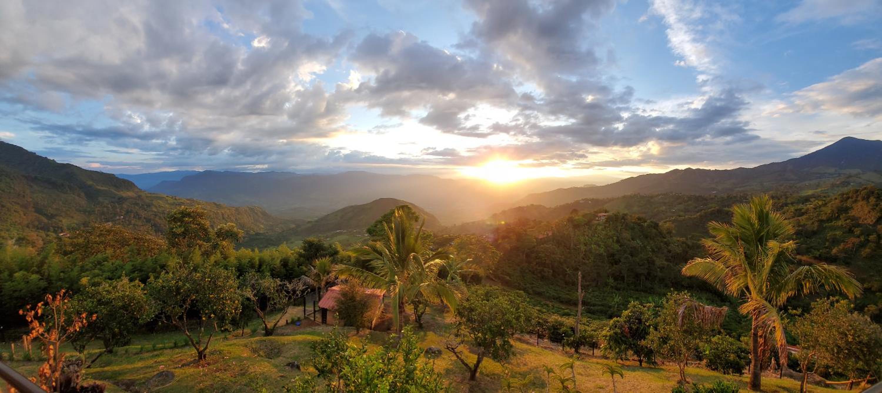 Finca Naya