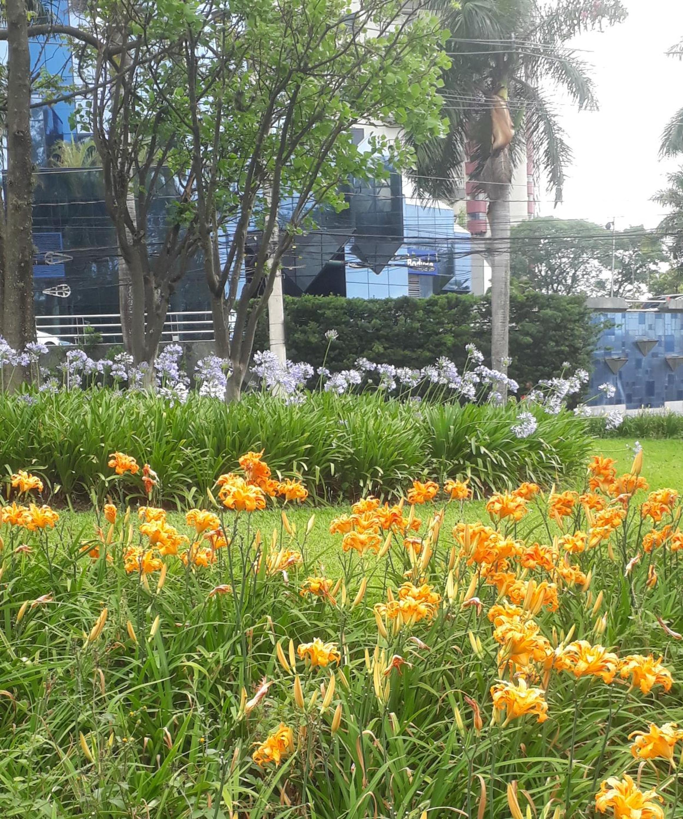 Alphaville Stay Residences