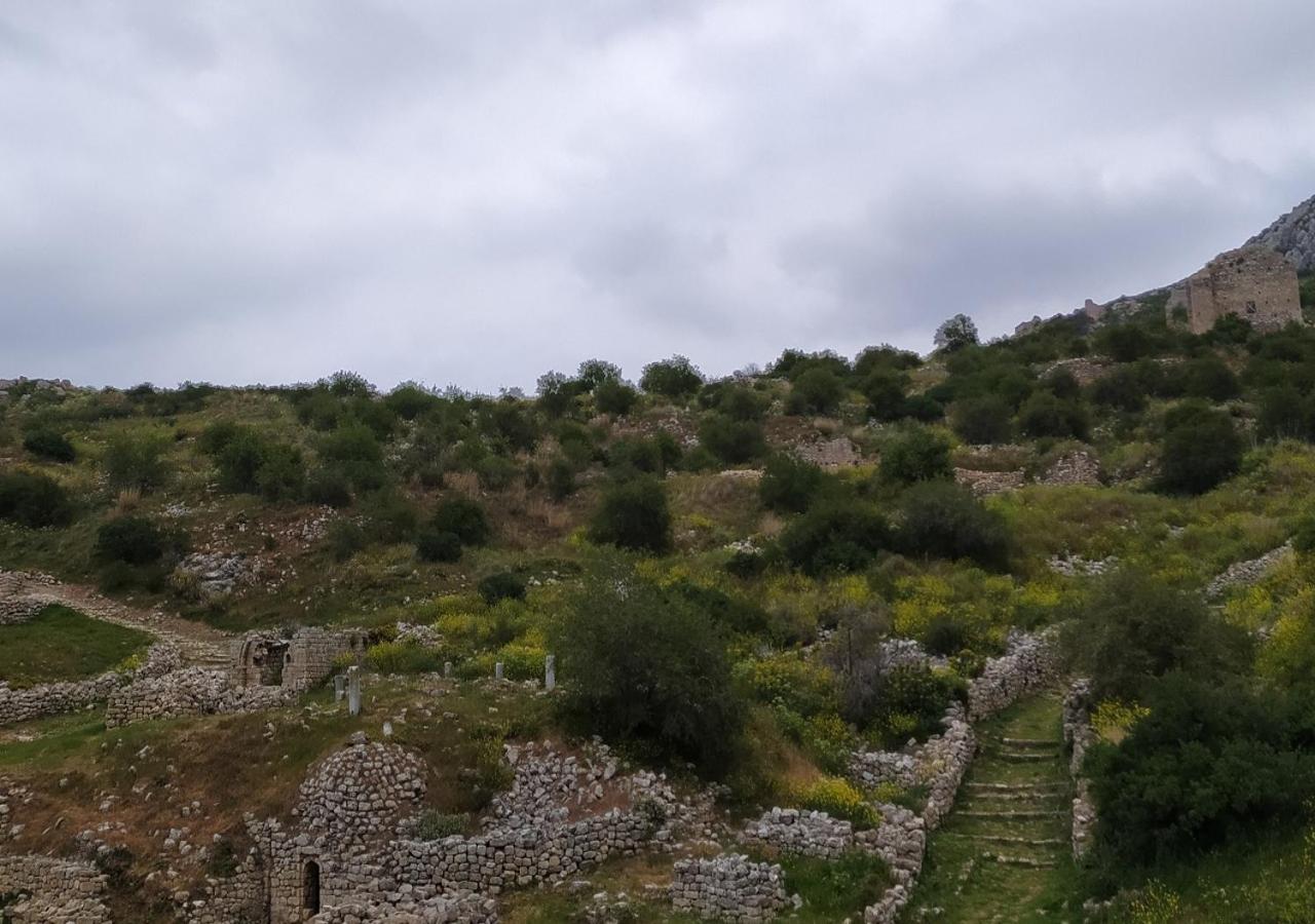 Photo 22
