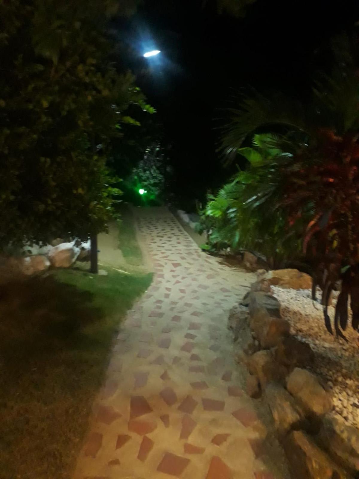 Photo 22