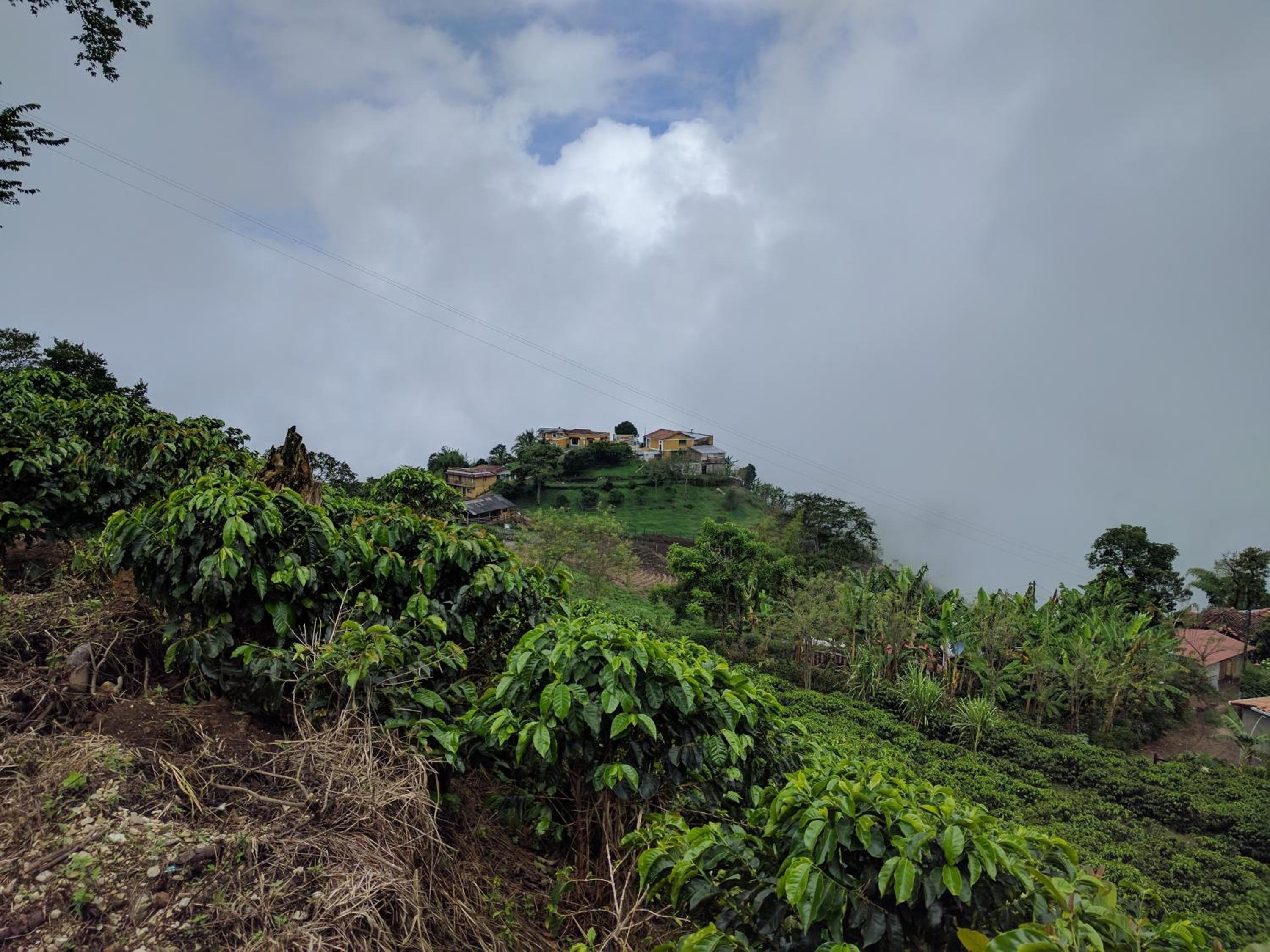 Finca Naya