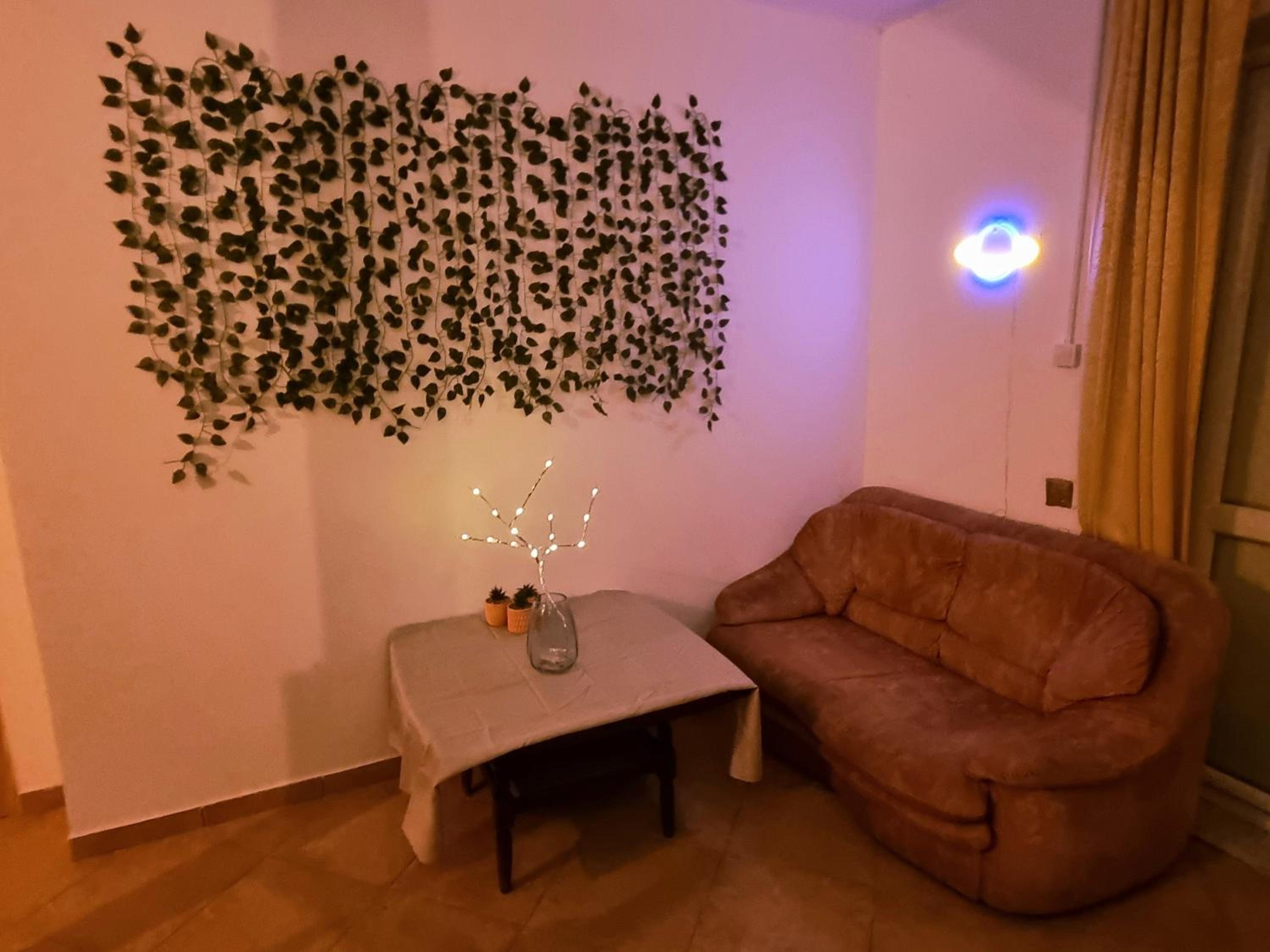 נווה מדבר - אירוח מקומי, photo 6
