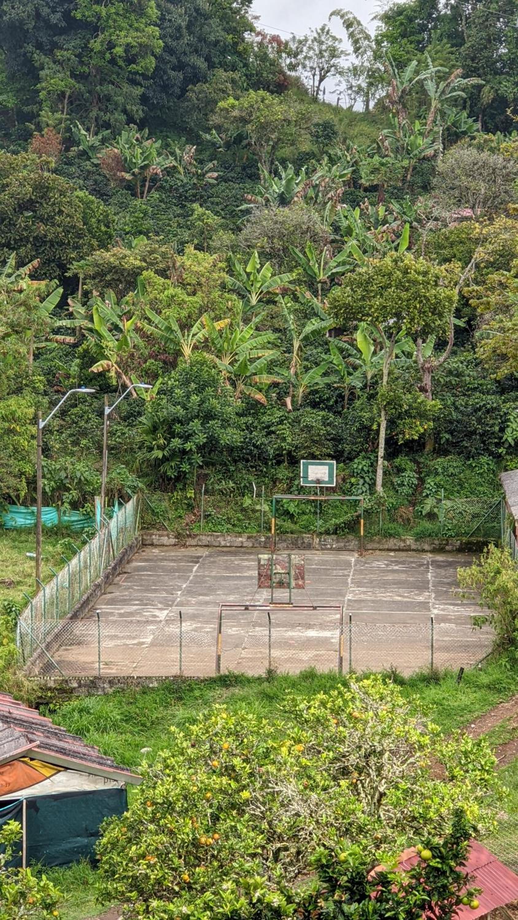 Finca Naya