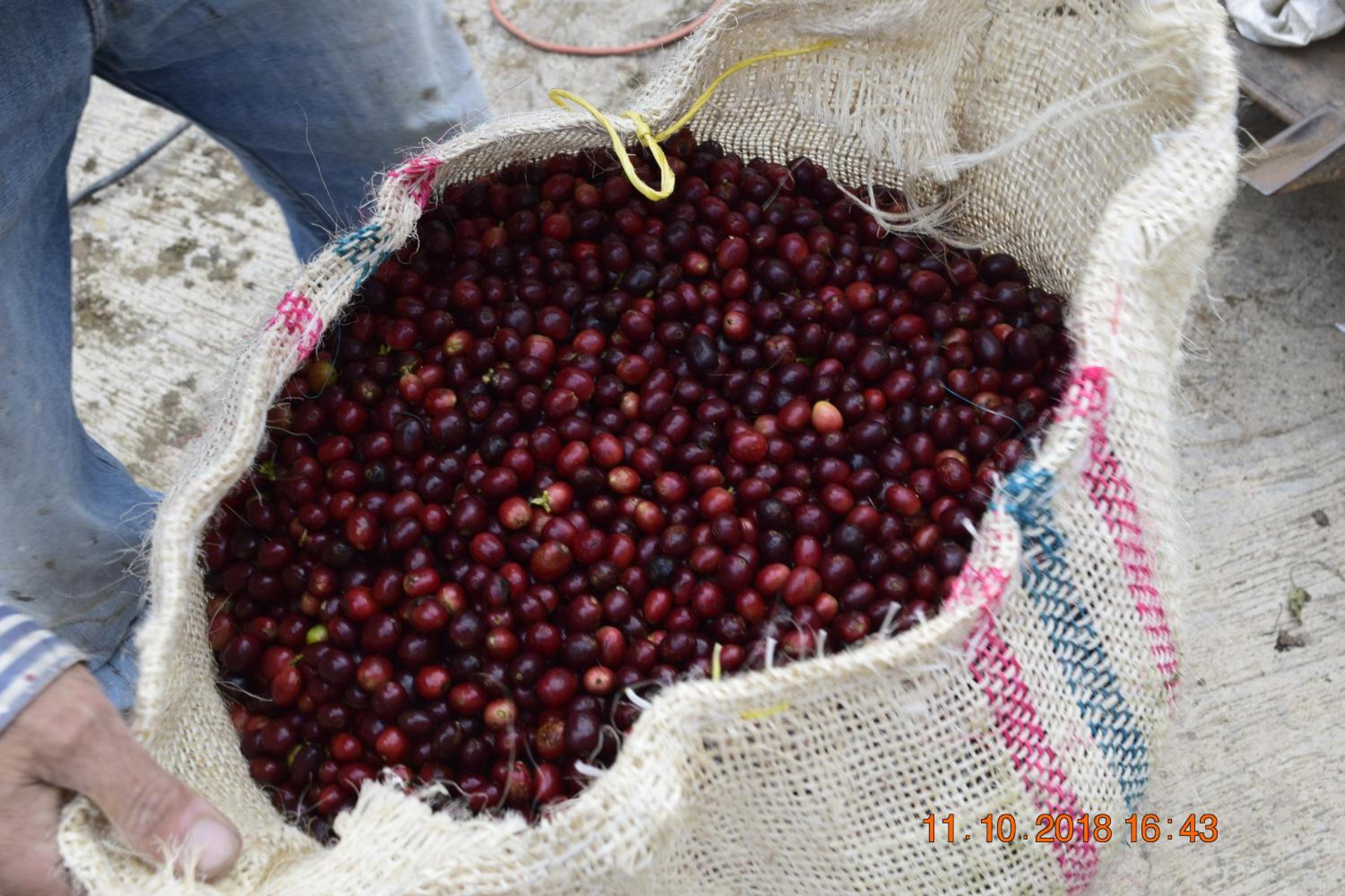 Finca Naya
