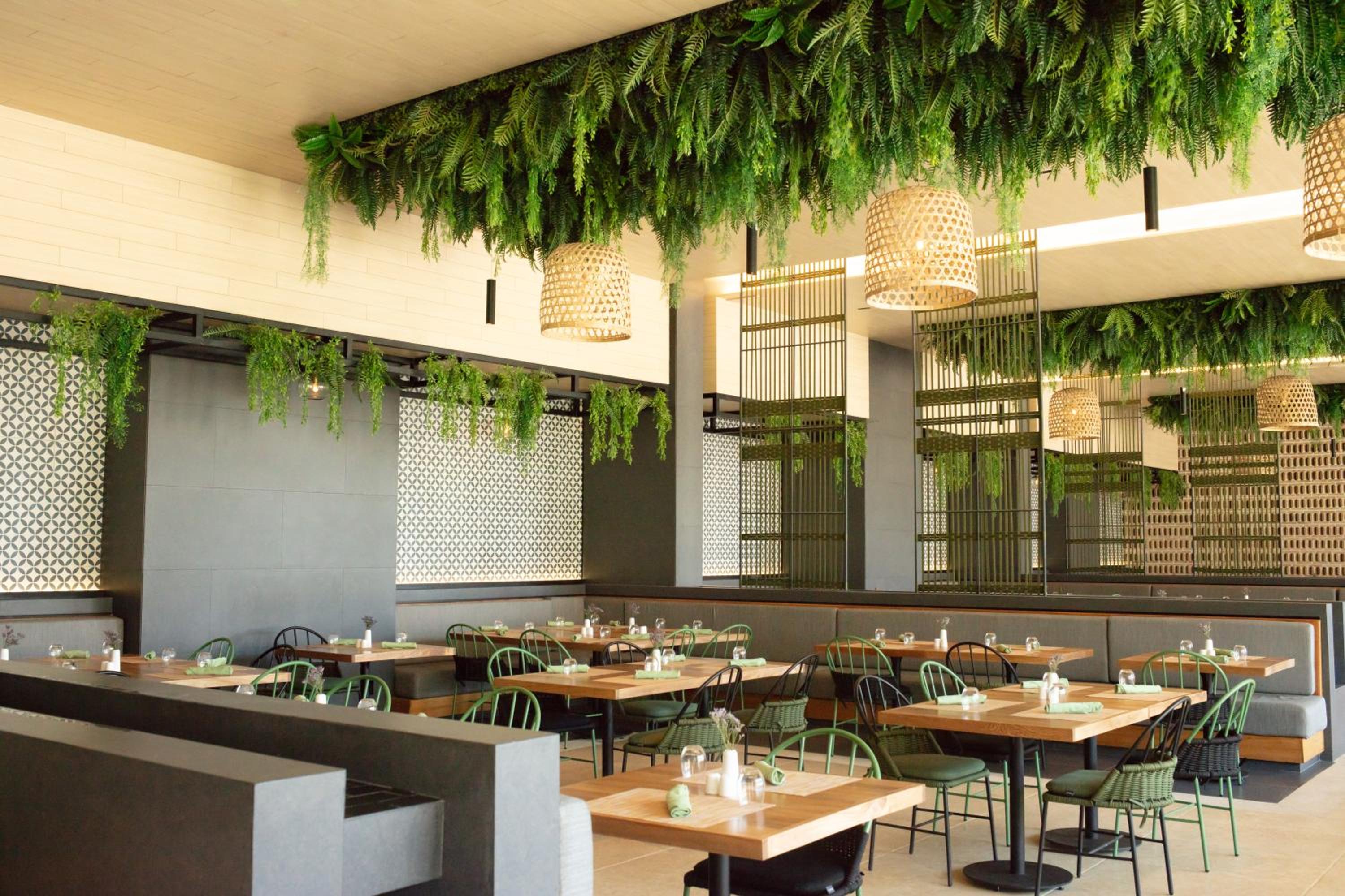 Dreams Bahia Mita Surf and Spa - All Inclusive - Property Image 62